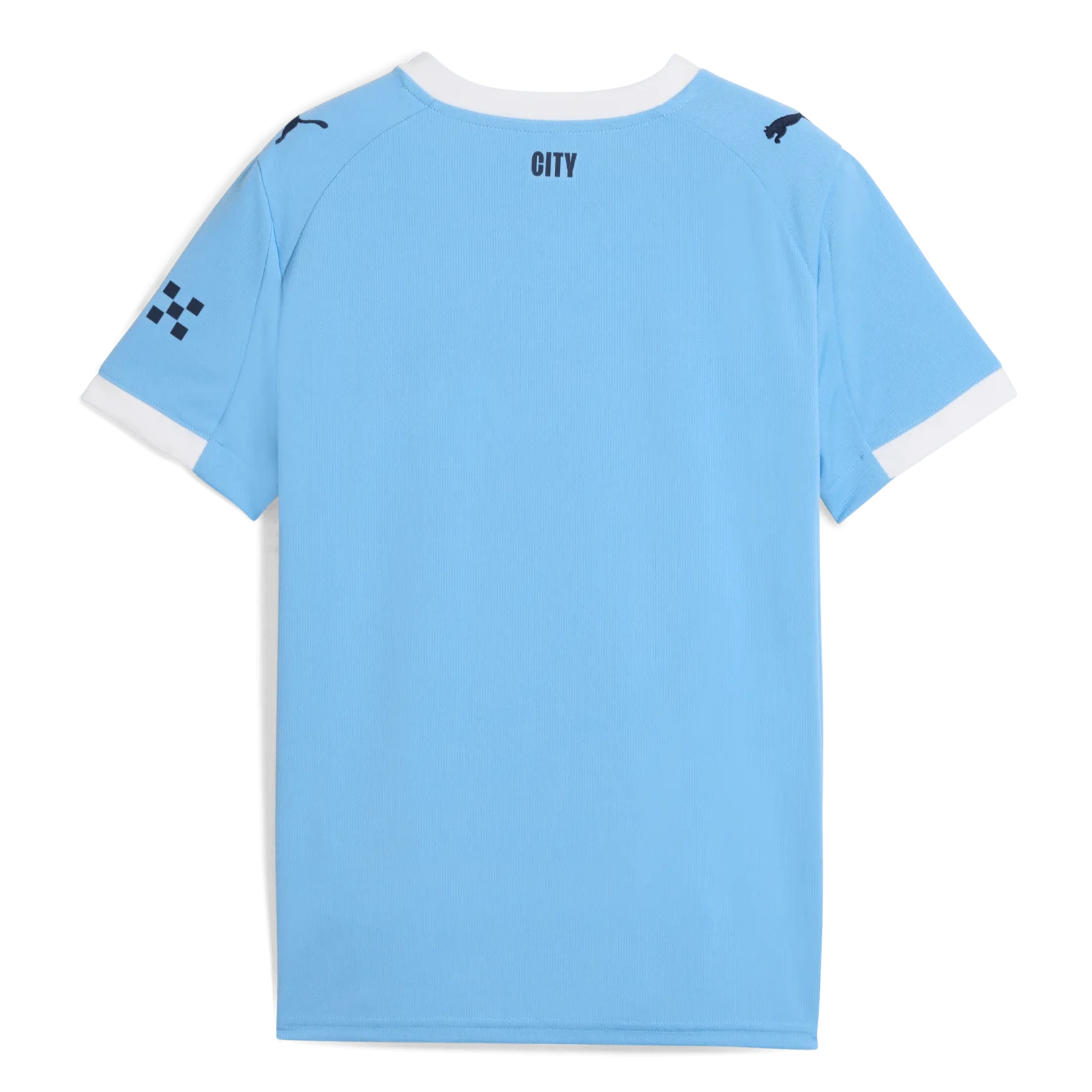 Puma 2025-26 Manchester City Youth Stadium Home Soccer Jersey (Back)