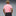 Puma 2025-26 Palermo Men's Stadium Home Soccer Jersey