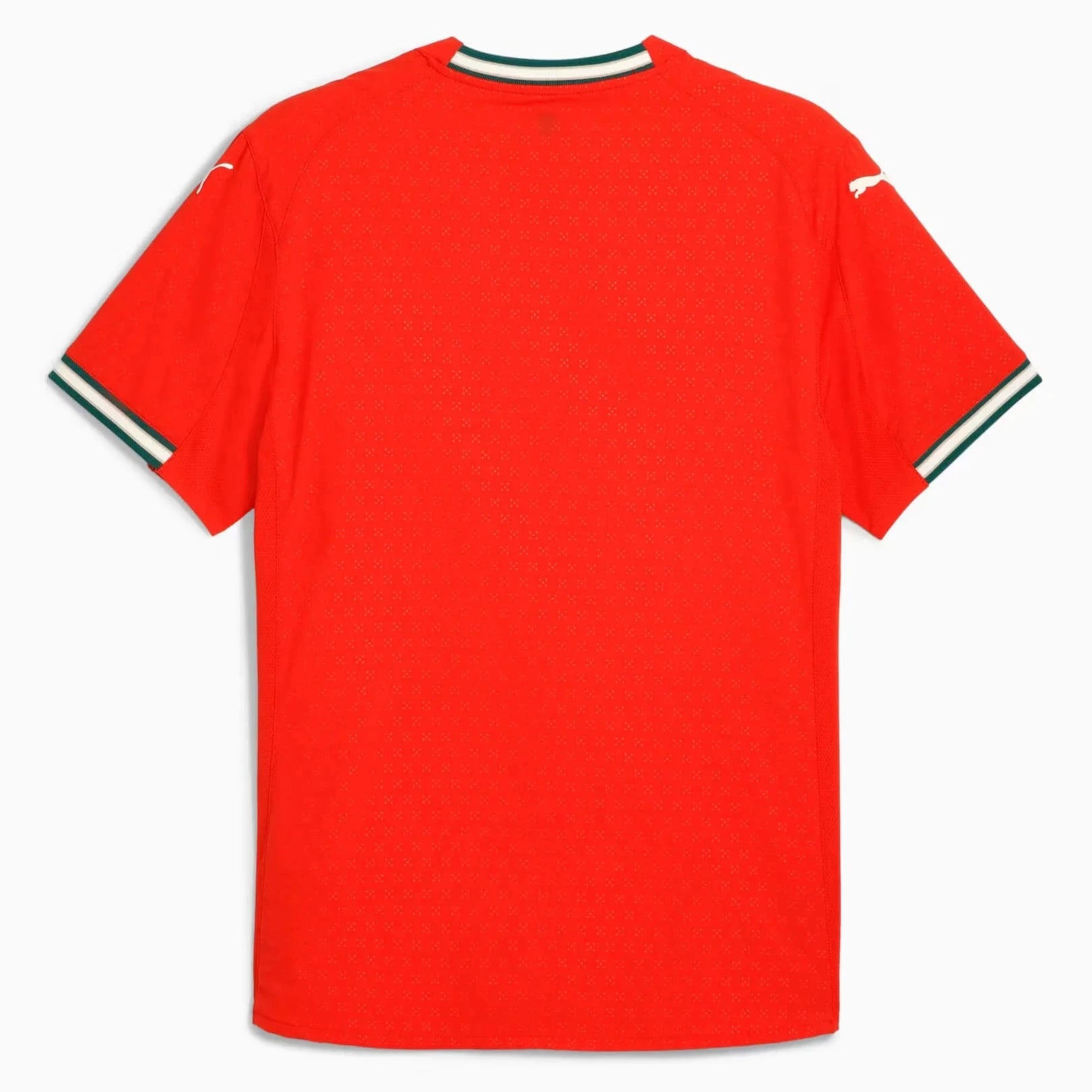T-Shirt Puma Portugal Authentic 2024-2025 Home Sport Red