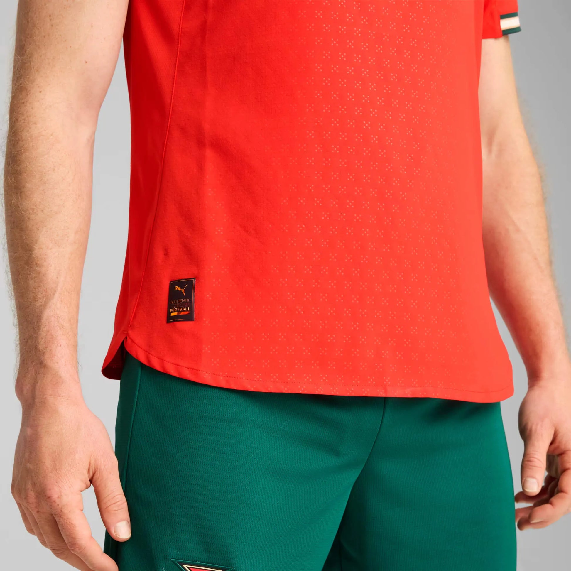 Puma 2025-26 Portugal Men's Authentic Home Jersey (Detail 2)