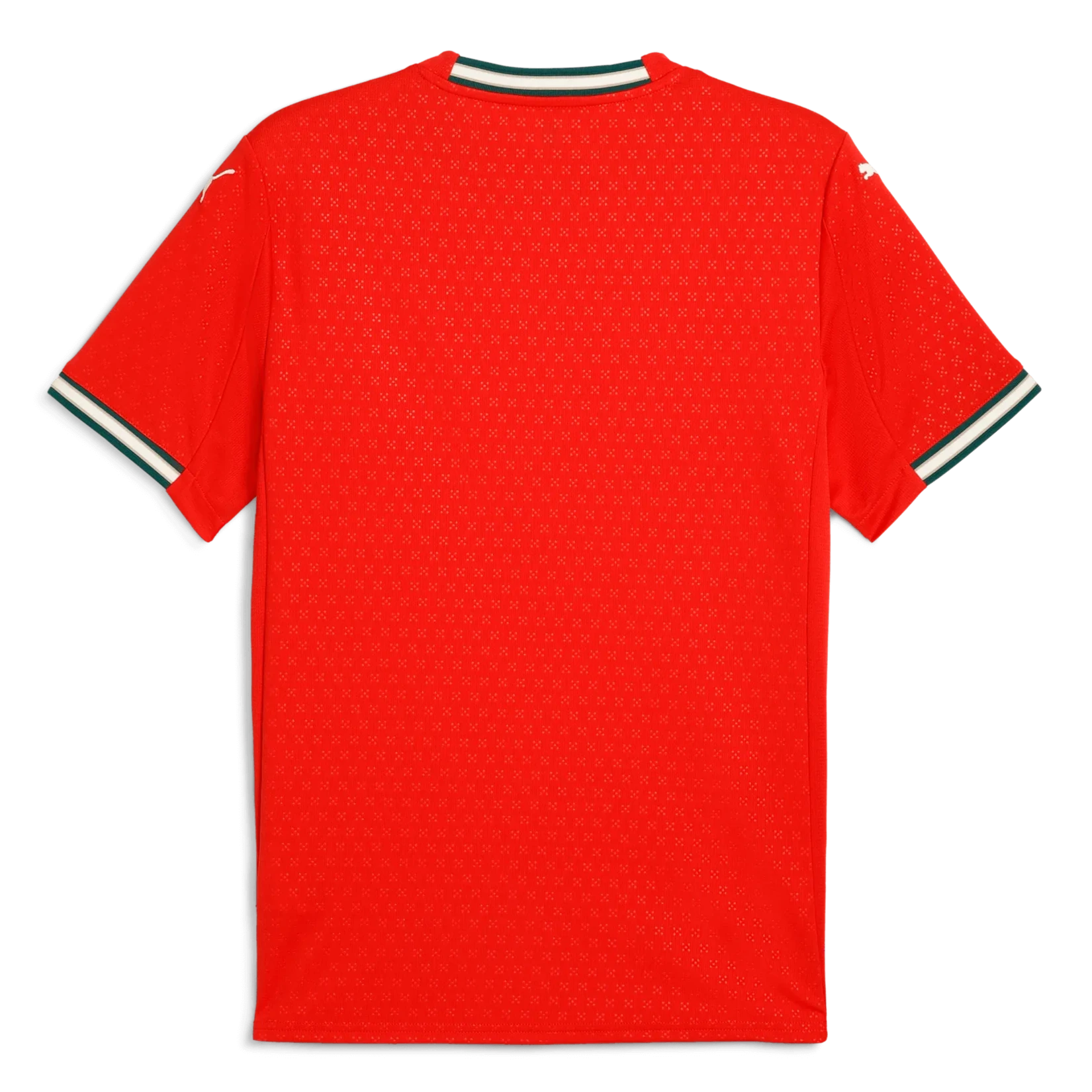 Puma 2025-26 Portugal Men's Stadium Home Jersey (Back)