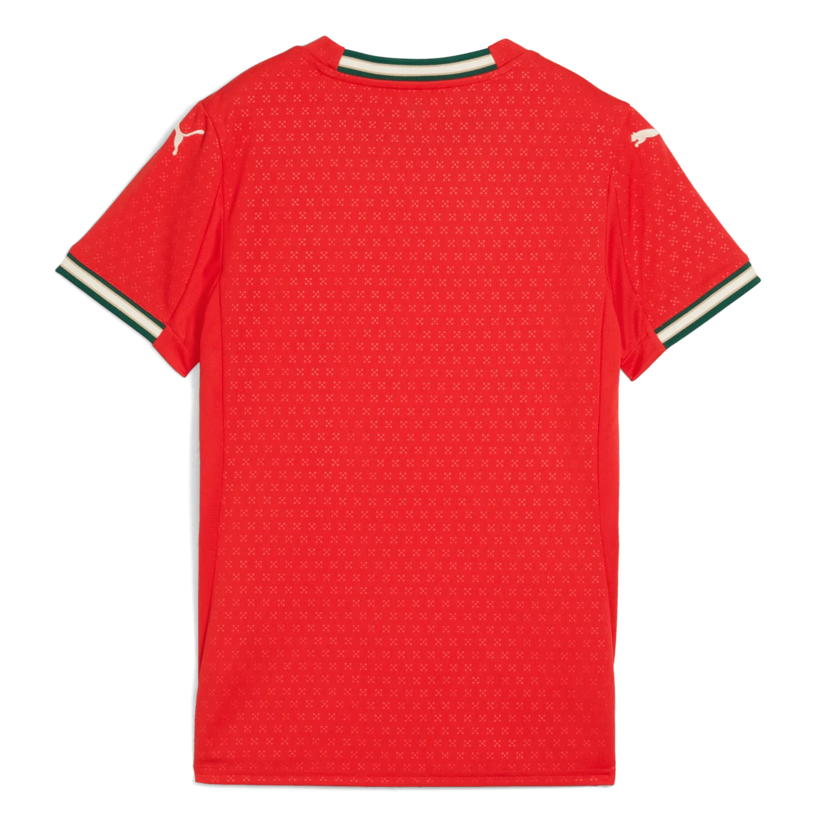 Puma 2025-26 Portugal Women's Stadium Home Jersey (Back)