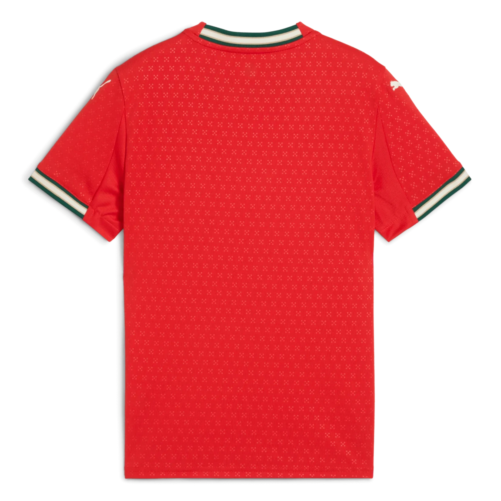 Puma 2025-26 Portugal Youth Stadium Home Jersey (Back)