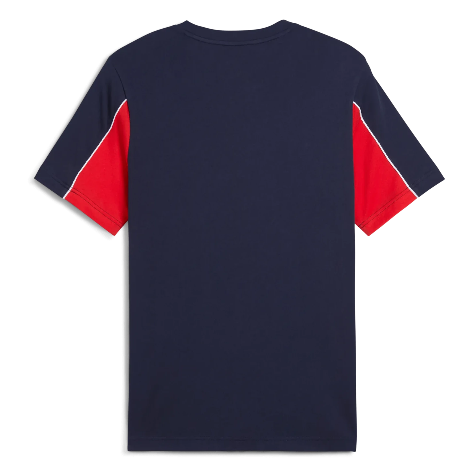 Puma 2025 Chivas Men's FTBLARCHIVE Tee (Back)