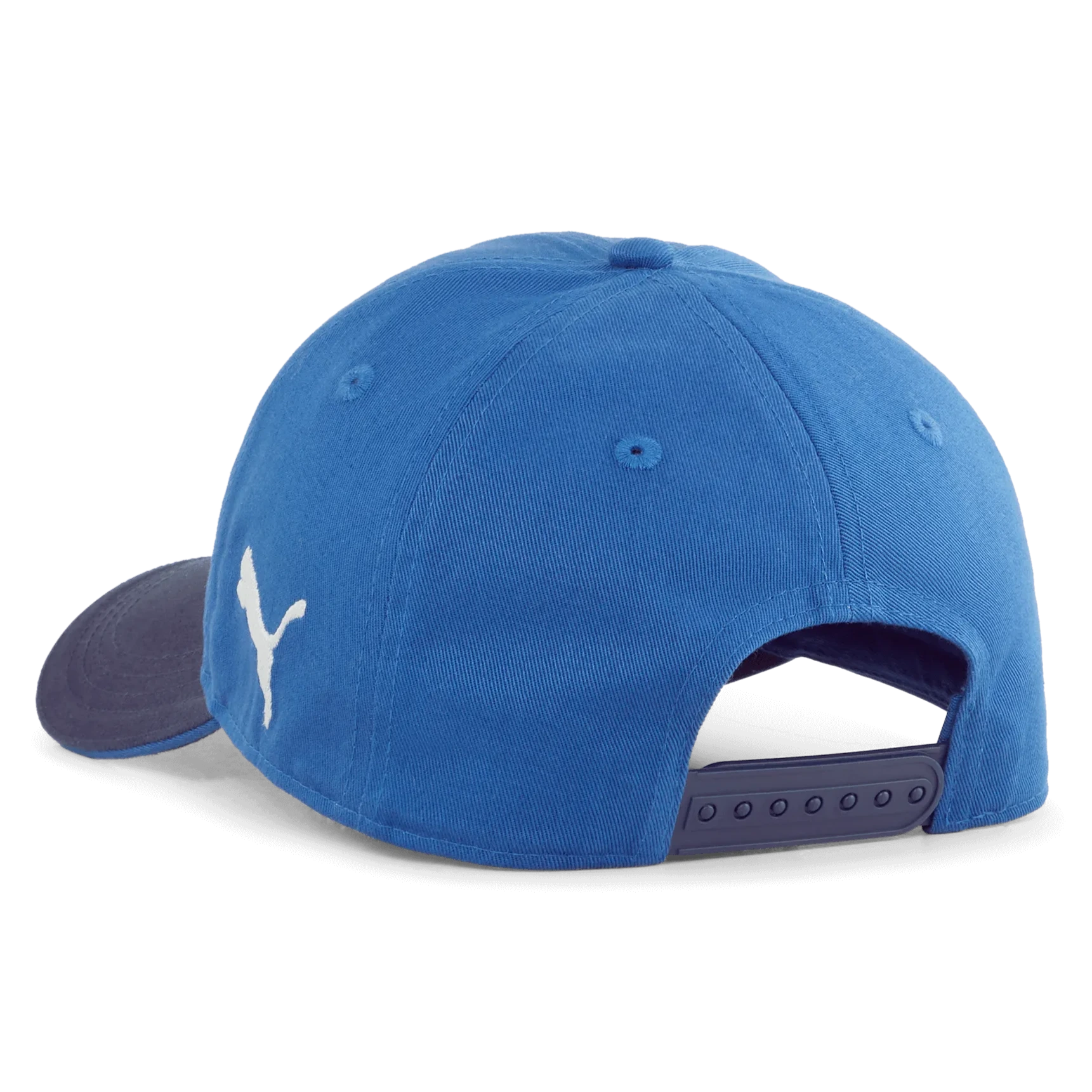 Puma 2025 Chivas Team Cap