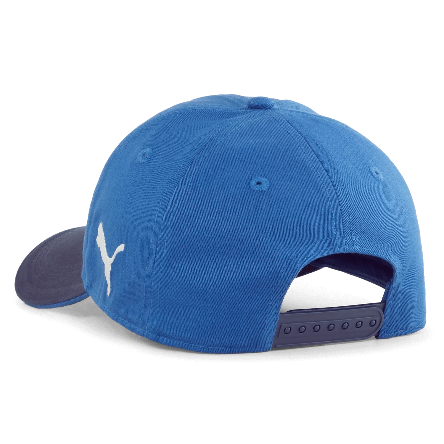 Puma 2025 Chivas Team Cap