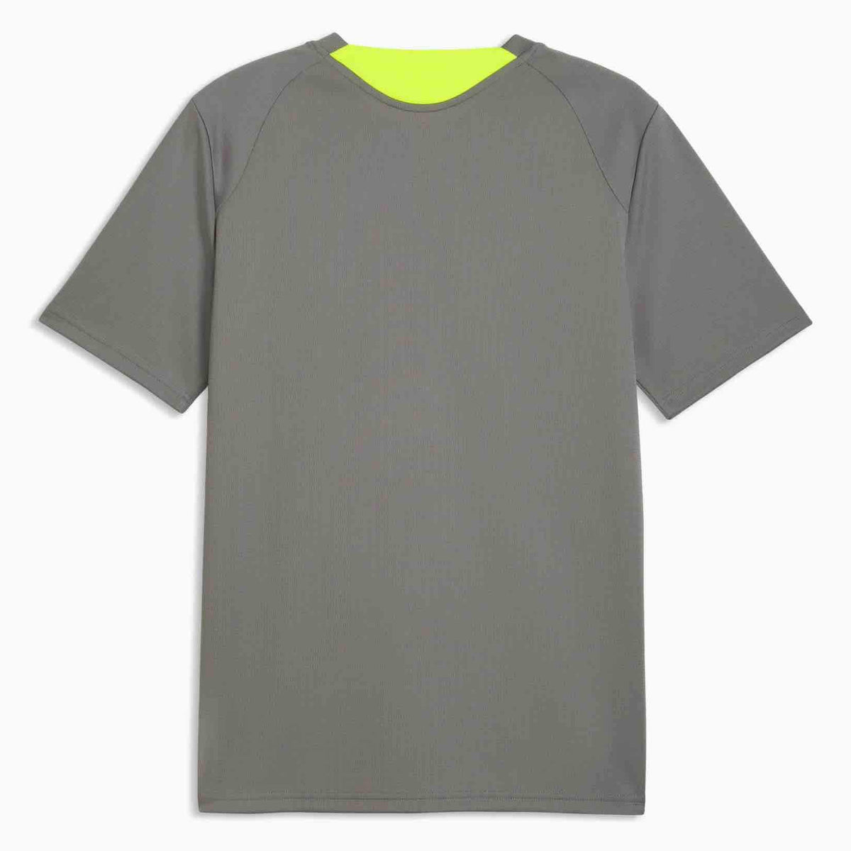 Puma 2026-27 Borussia Dortmund Men's Training Soccer Jersey (Back)
