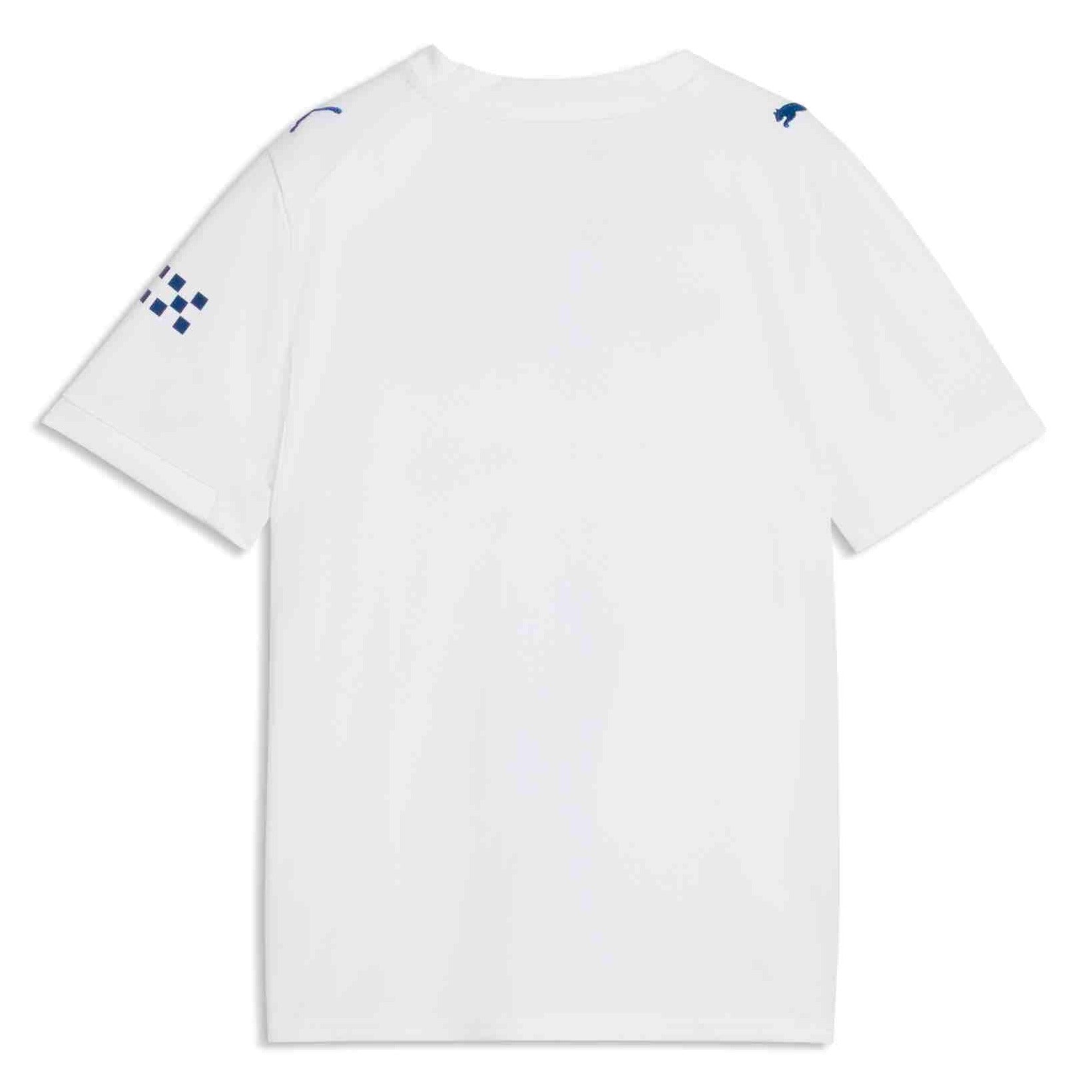 Puma 2026-27 Manchester City Youth Stadium Third Soccer Jersey (Back)