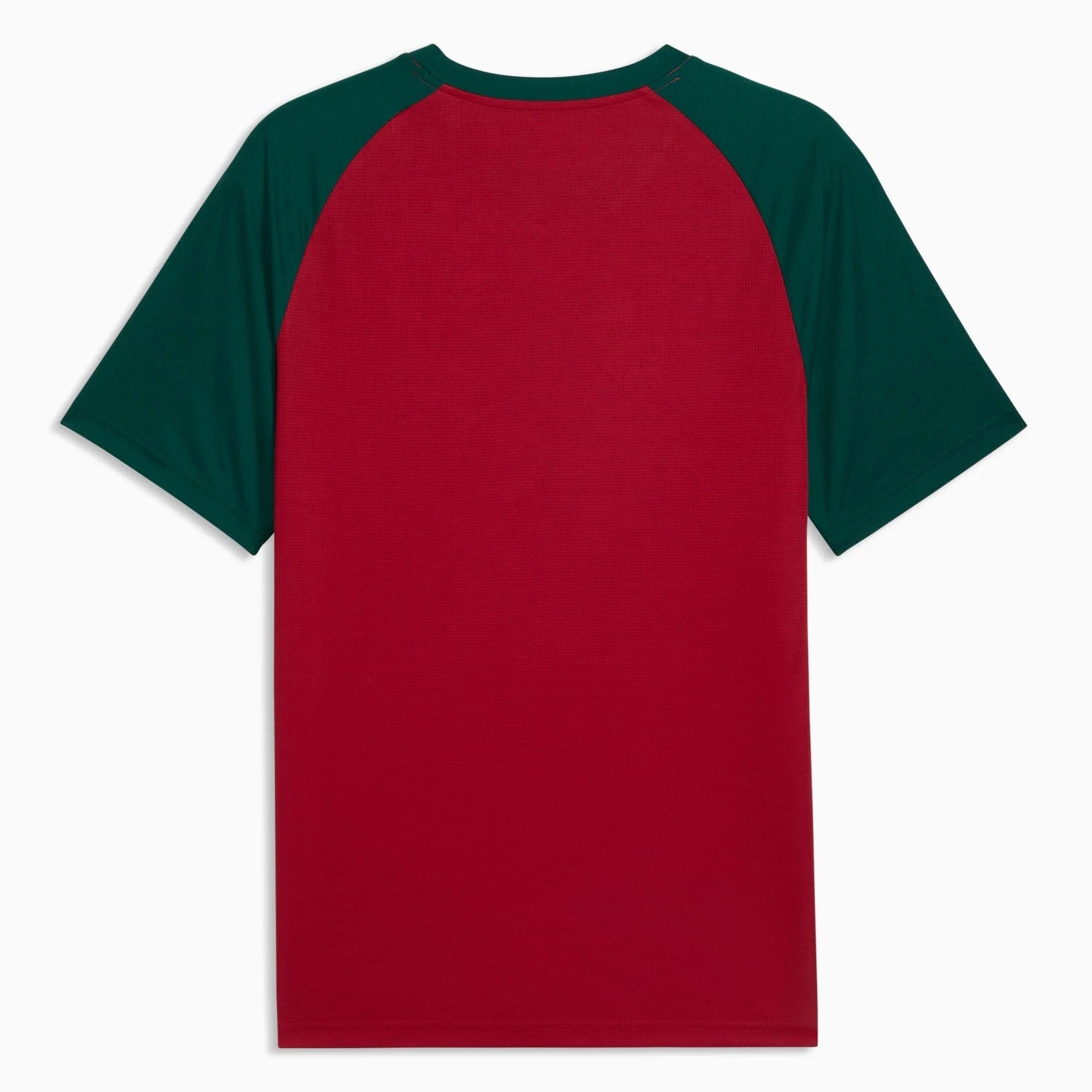 Puma 2026 Morocco Men's Pre-Match Soccer Jersey – ProSoccer
