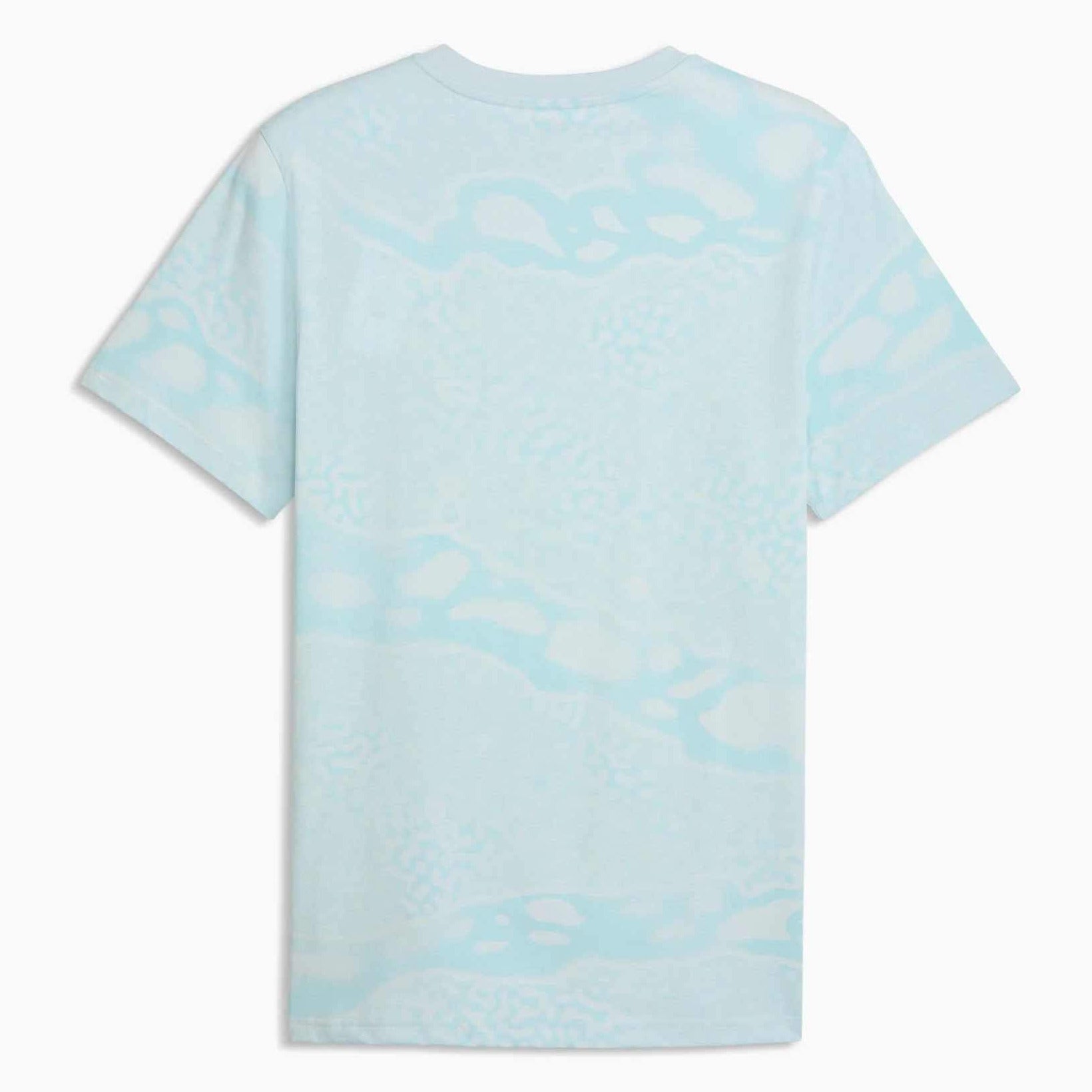 Puma 2026-27 Portugal Men's FtblCulture AOP Tee Sea Glass-Club Red (Back)