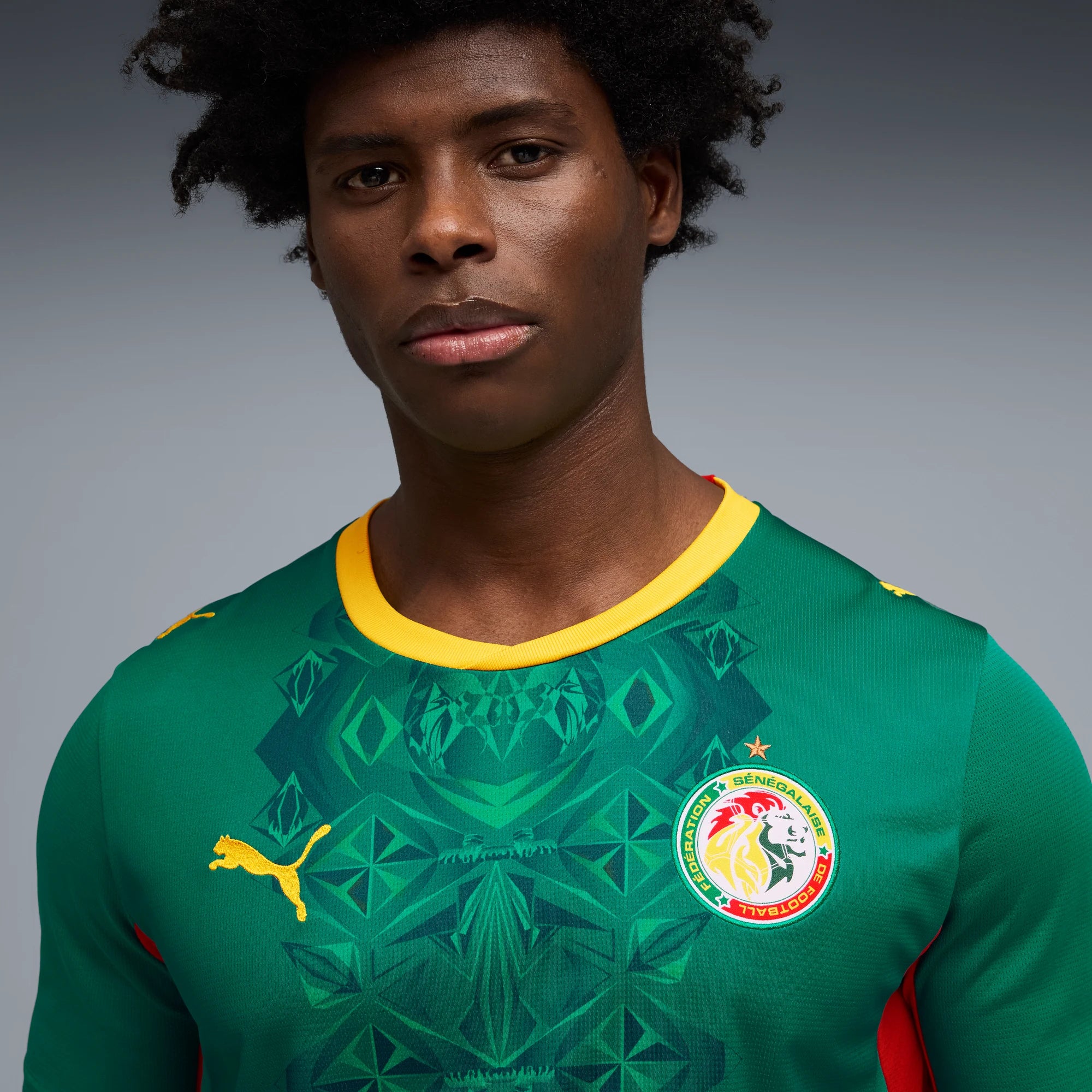 Puma 2026-27 Senegal Men's Stadium Away Soccer Jersey (Detail 1)
