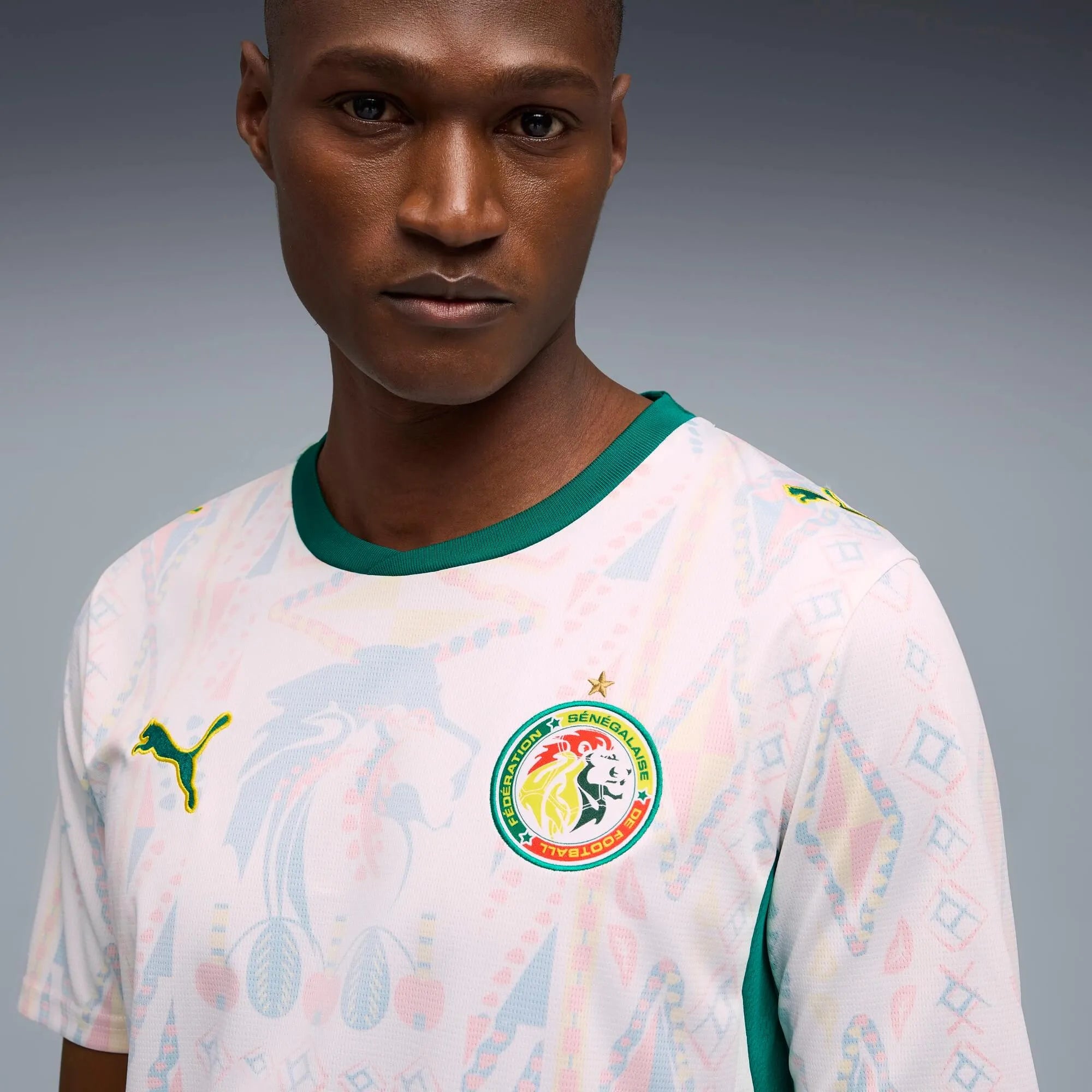 Puma 2026-27 Senegal Men's Stadium Home Soccer Jersey (Detail 1)