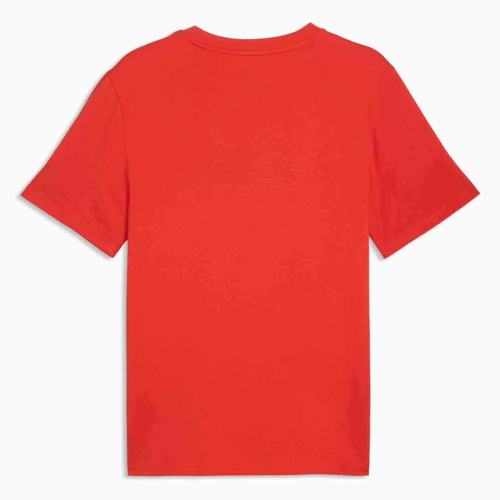 Puma 2026 Egypt Men's FtblCulture Tee (Back)