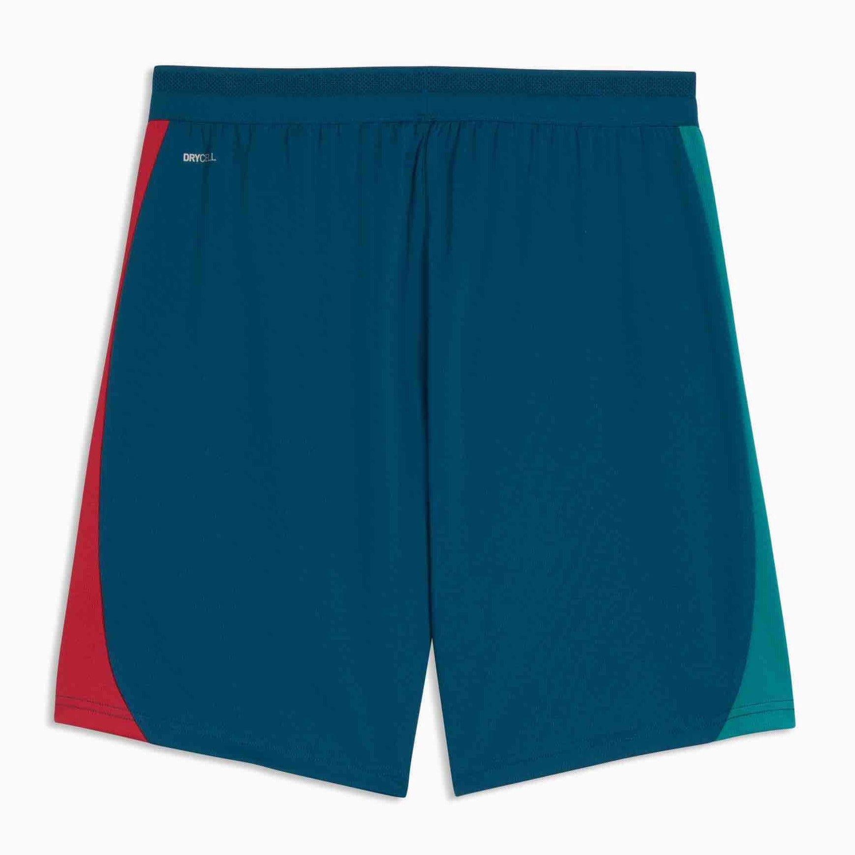 Puma 2026 Portugal Men's Training Shorts (Back)