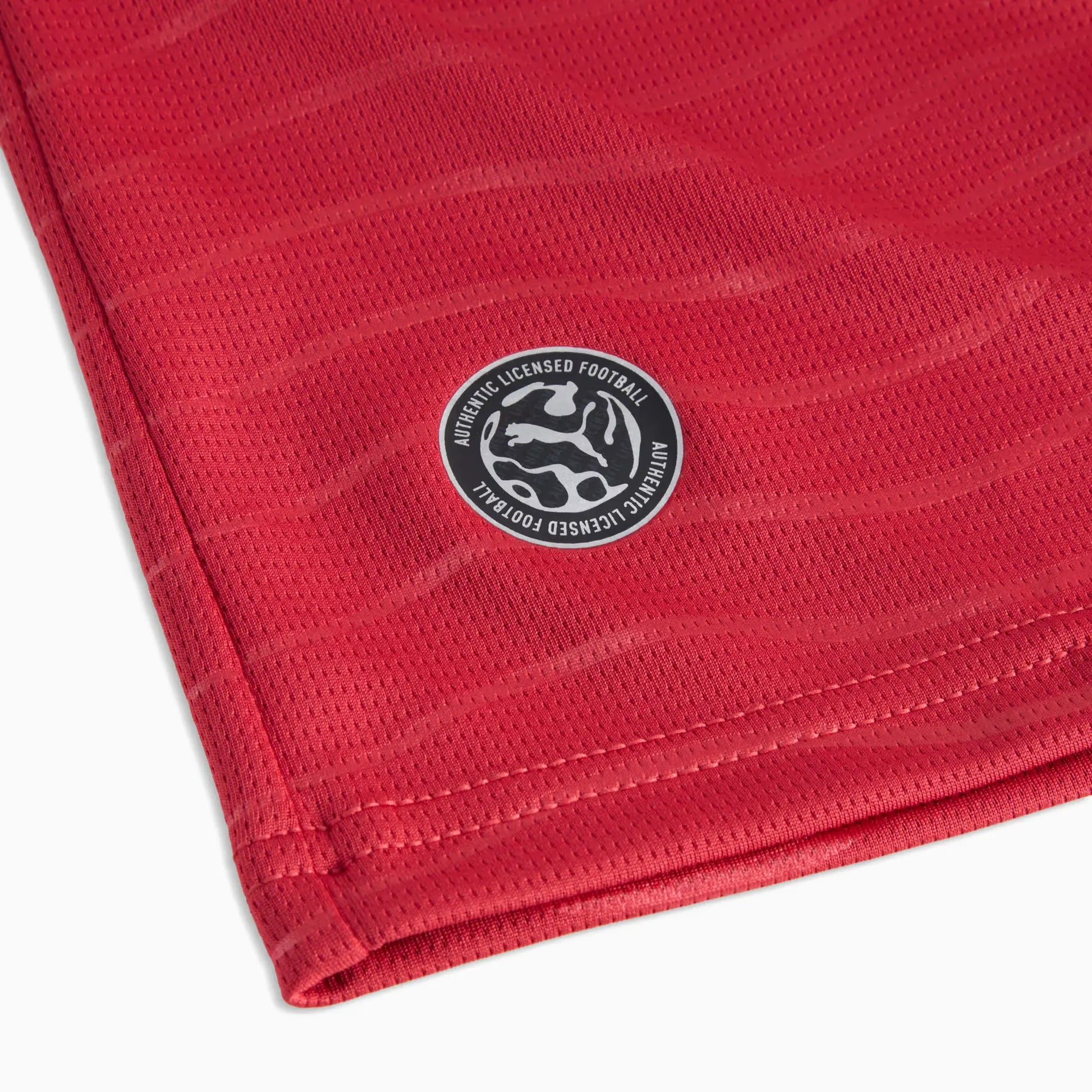 Puma 2026 Portugal Youth Stadium Home Ronaldo  7 Soccer Jersey (Detail 1)