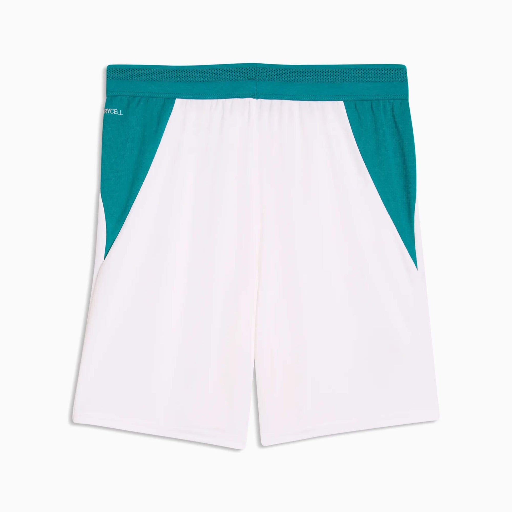 Puma 2026 Portugal Youth Stadium Shorts (Back)