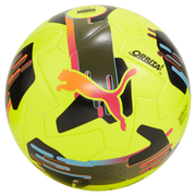 Puma Orbita 2 TB FIFA Quality Pro Ball (Front)