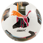Puma Orbita 6 MS Ball