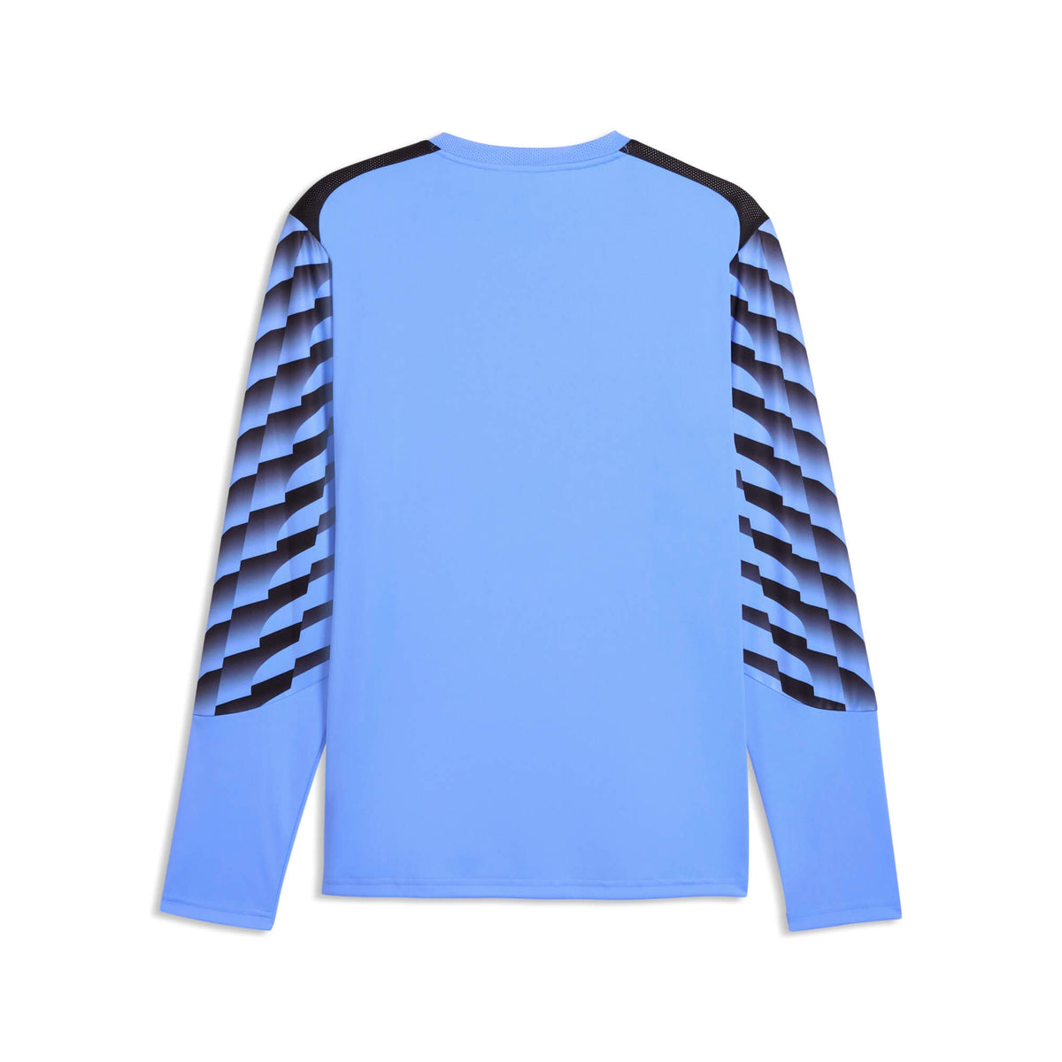 Puma TeamLIGA 26 Men's Goalkeeper Long-Sleeve Soccer Jersey Blue Glimmer_Puma Black (Back)