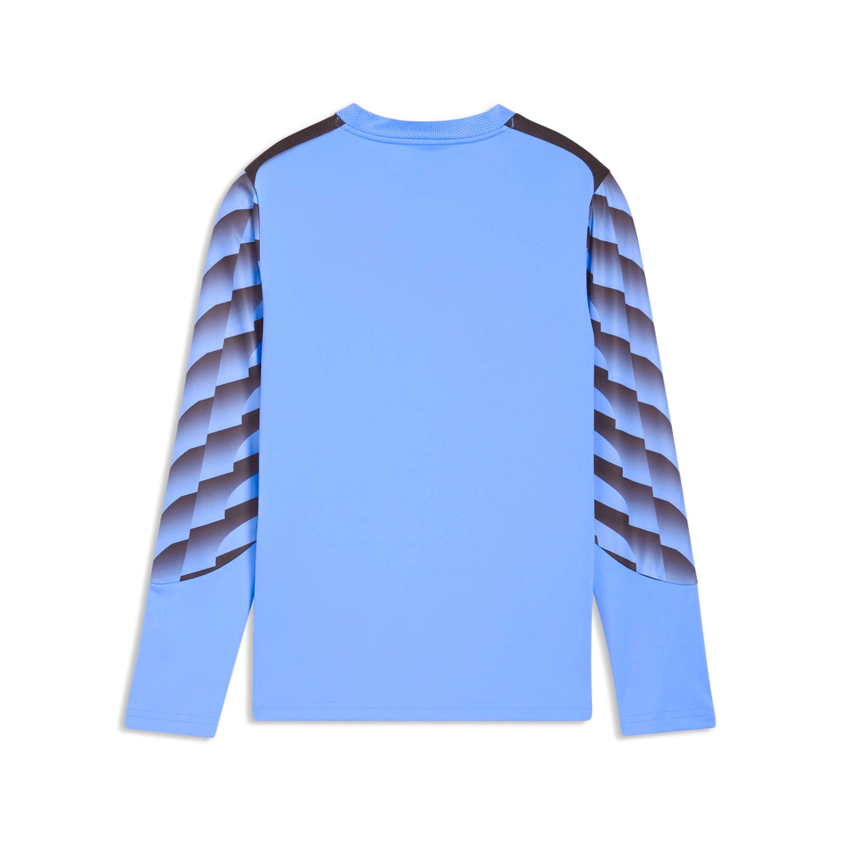 Puma TeamLIGA 26 Youth Goalkeeper Long-Sleeve Soccer Jersey Blue Glimmer/Puma Black (Back)