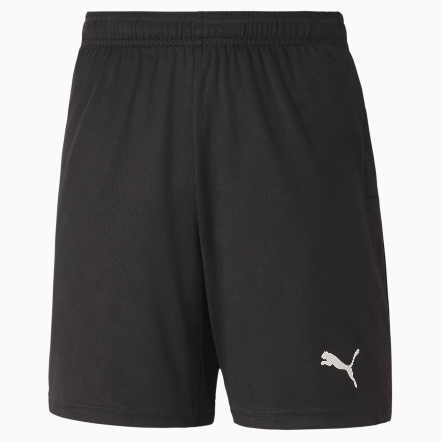 Puma Teamgoal 23 Knit Youth Shorts (Front)