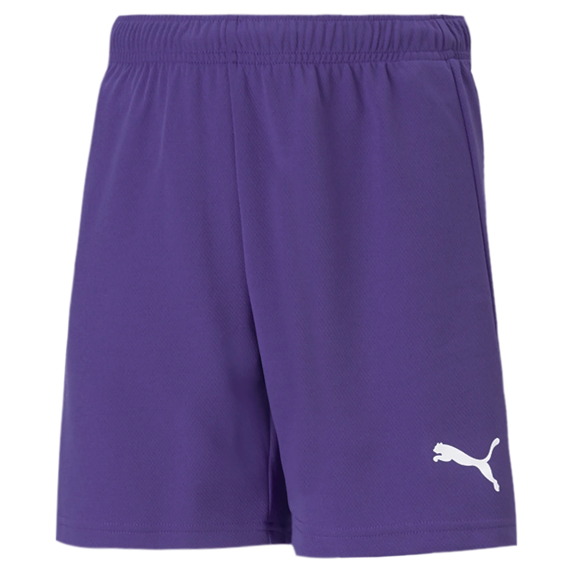 Puma Teamrise Youth Short Purple (Front)