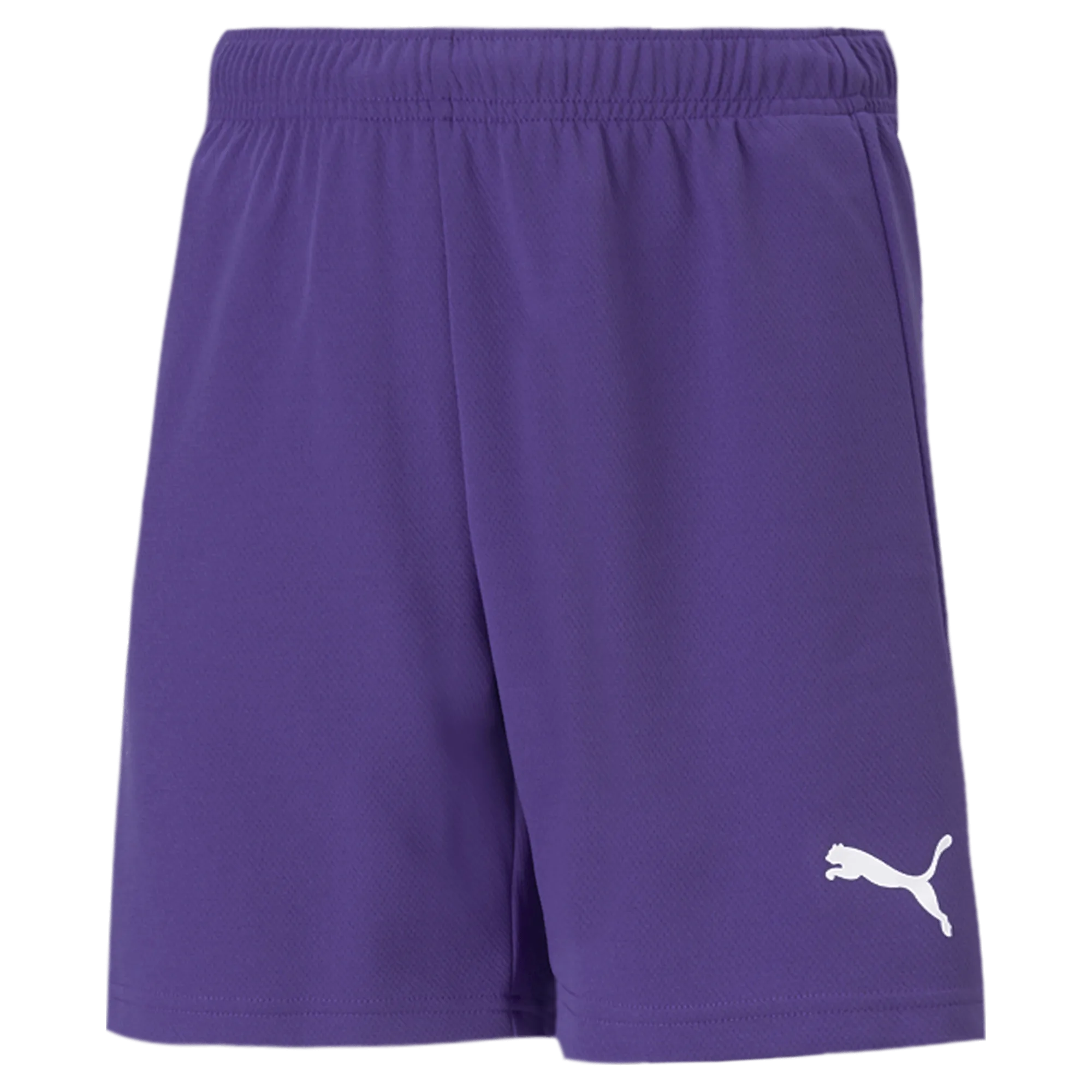 Puma Teamrise Youth Short Purple (Front)