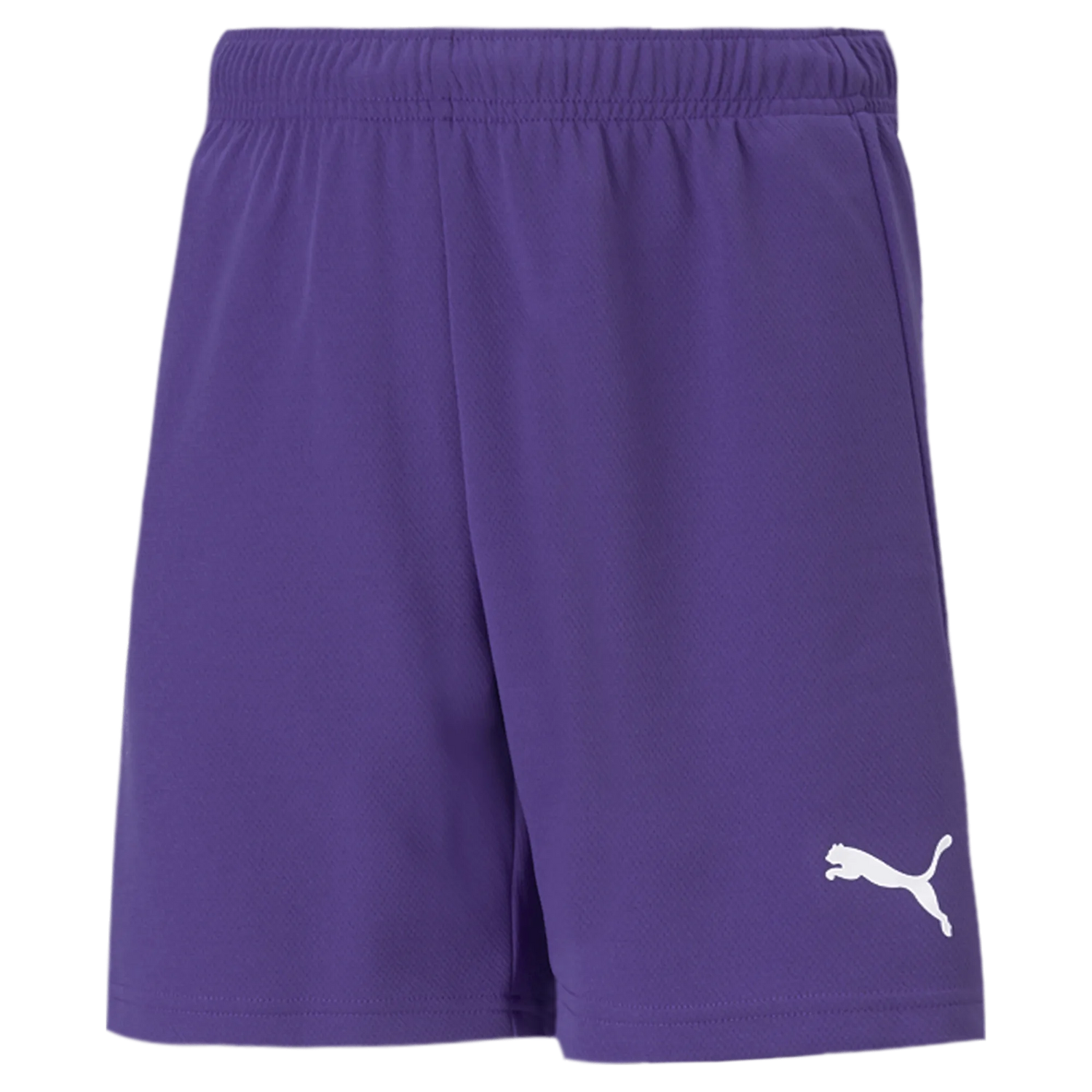 Puma Teamrise Youth Short Purple (Front)