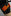 Reusch Pure Contact Fusion Goalkeeper Gloves - Shark Green-Shocking Orange-Black