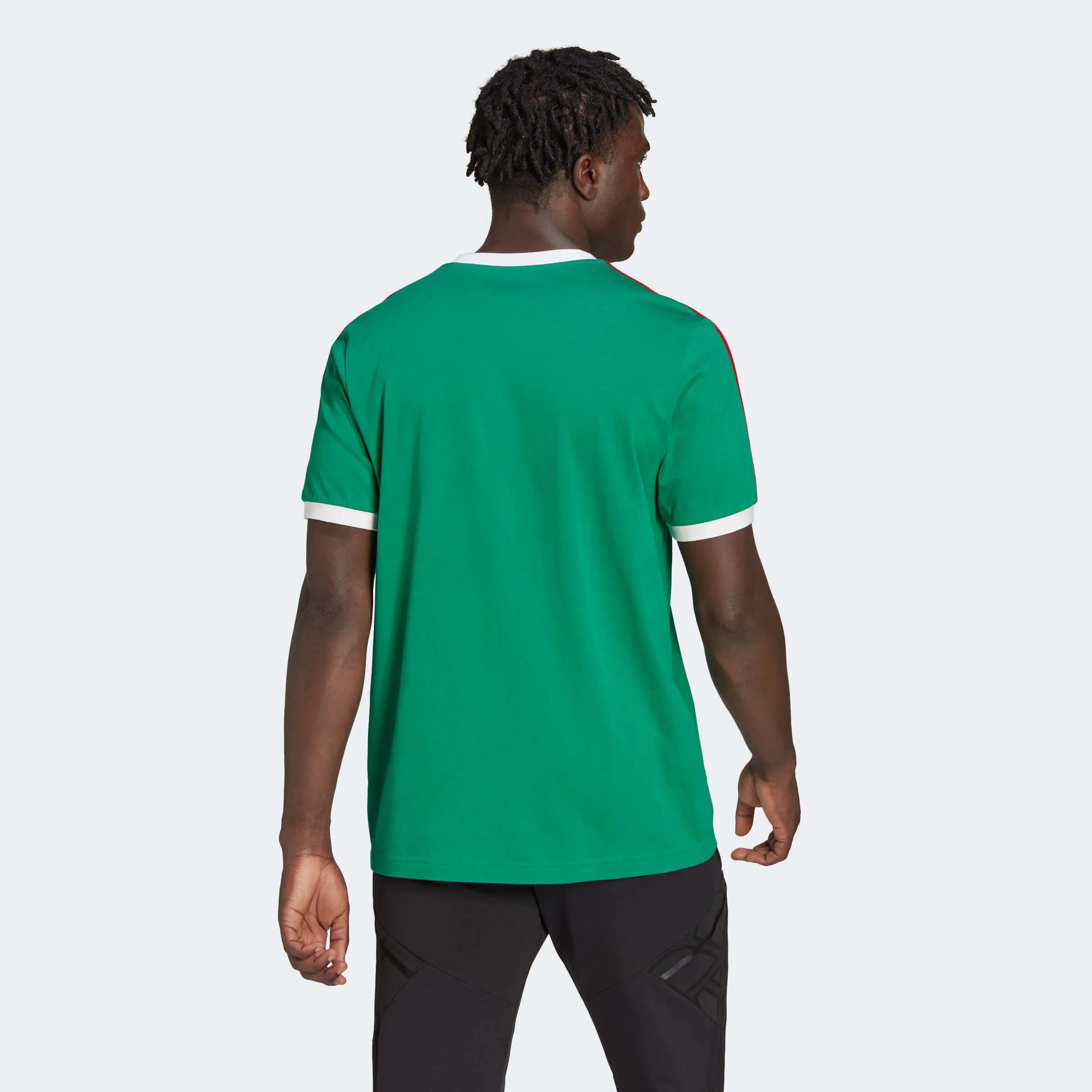 adidas 22 Mexico DNA 3 Stripe Tee - Green (Model - Back)