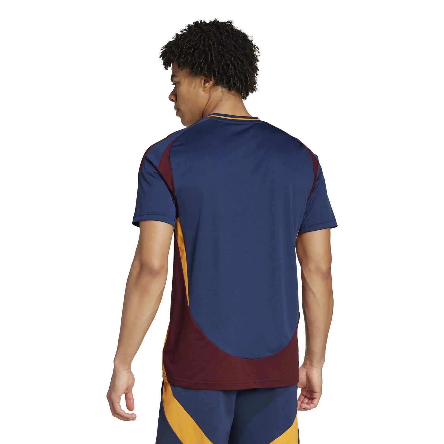 adidas 2024-25 Roma Men's Stadium Third Jersey (Model - Back)