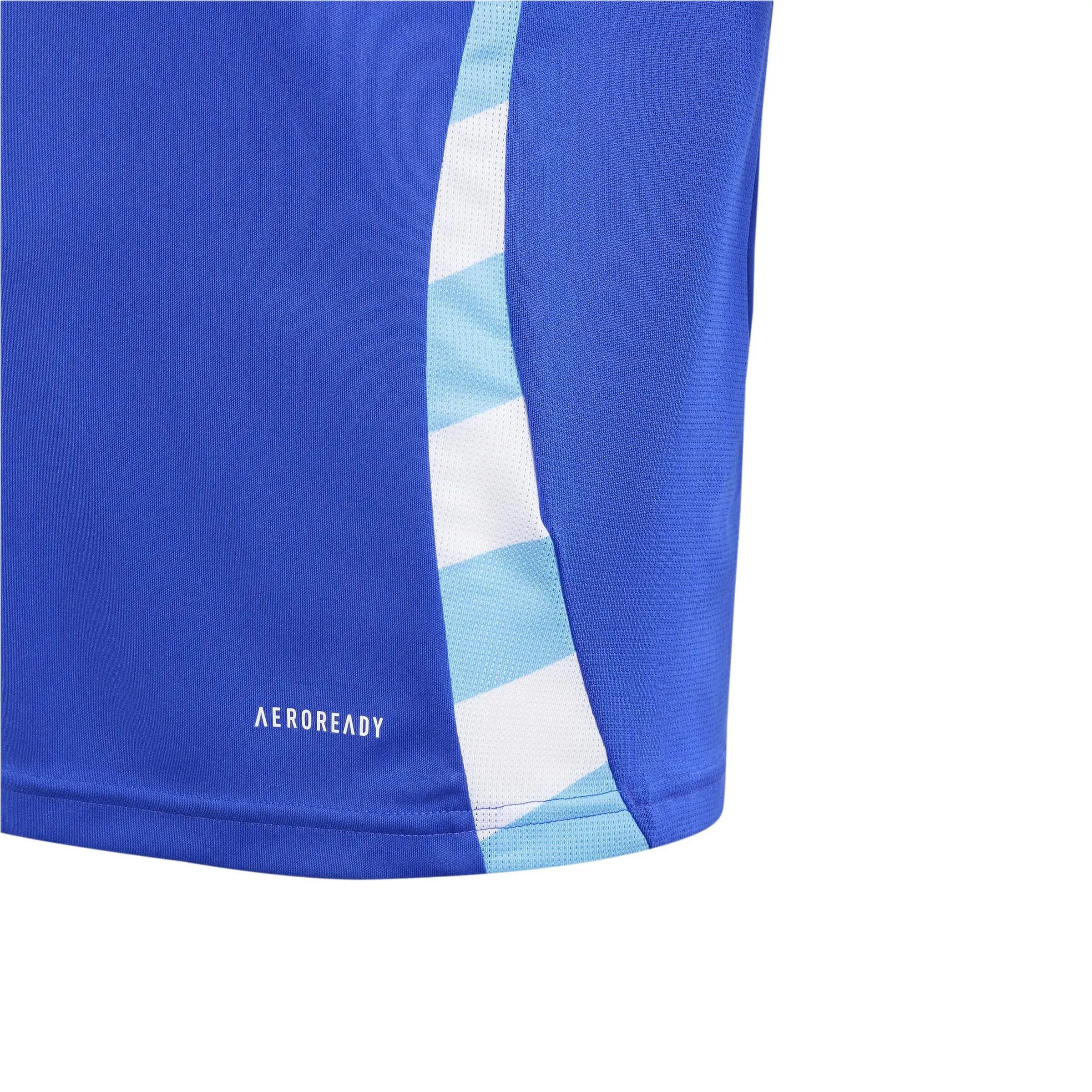 adidas 2024-25 Argentina Youth Stadium Away Jersey (Detail 3)