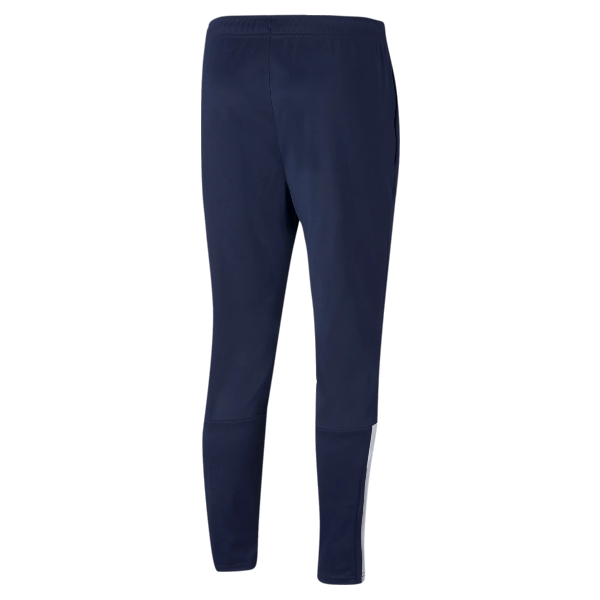 Puma TeamLiga Training Pants (Back)