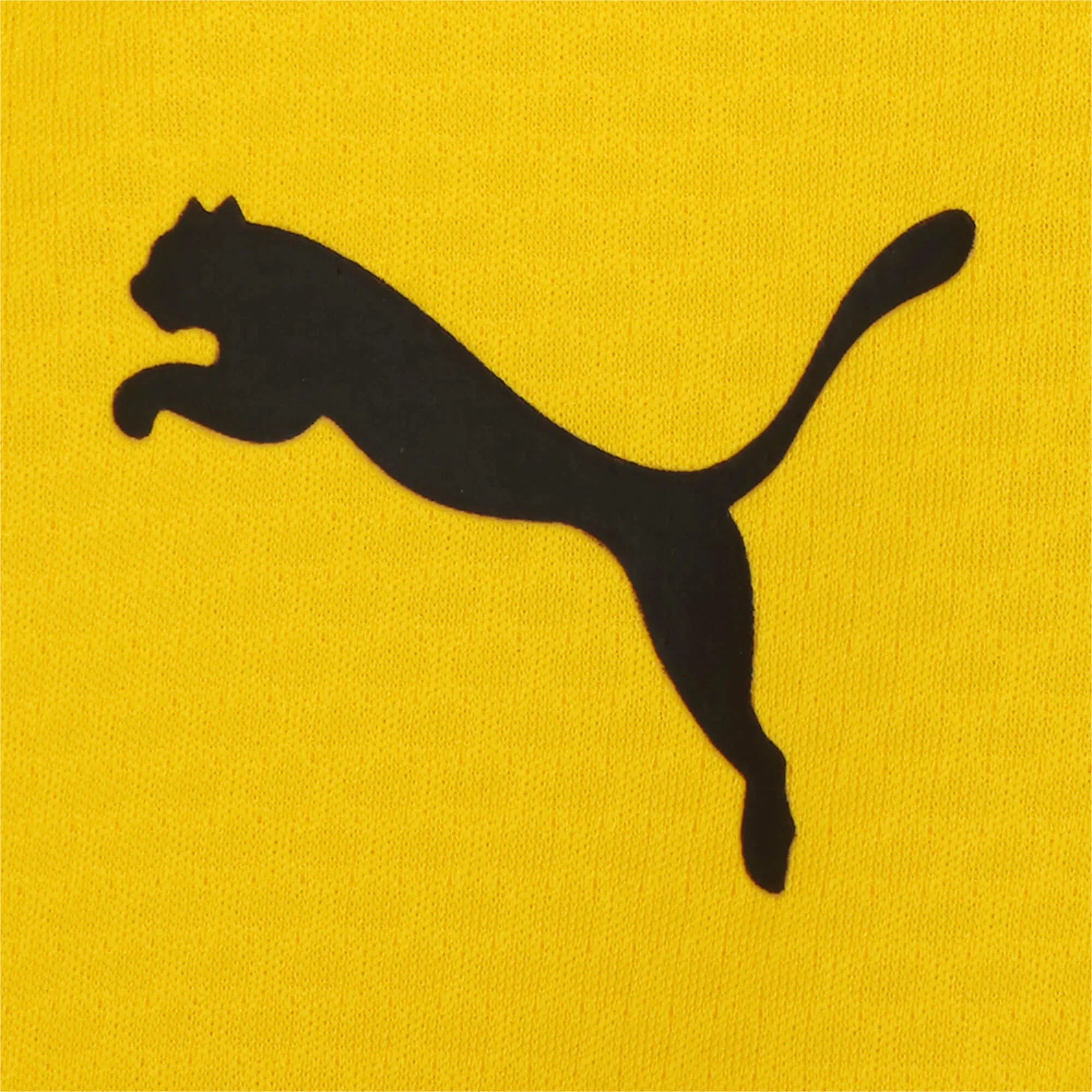Puma 2023-24 Borussia Dortmund Men's Quarter-Zip YB Training Top (Detail 2)