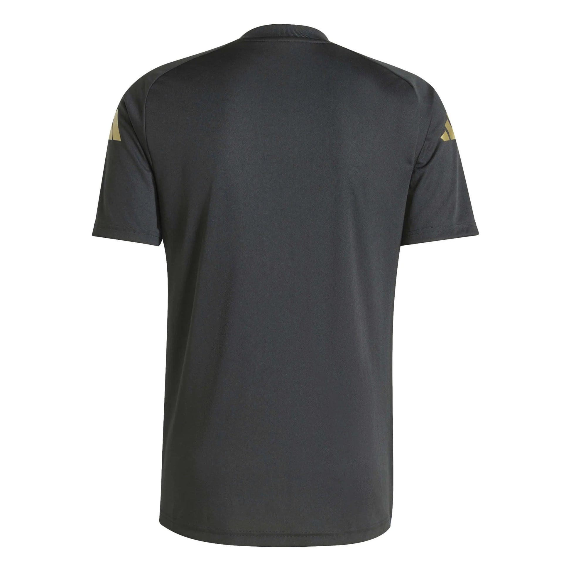 adidas 2024-25 Argentina Men's Pre-Match Jersey