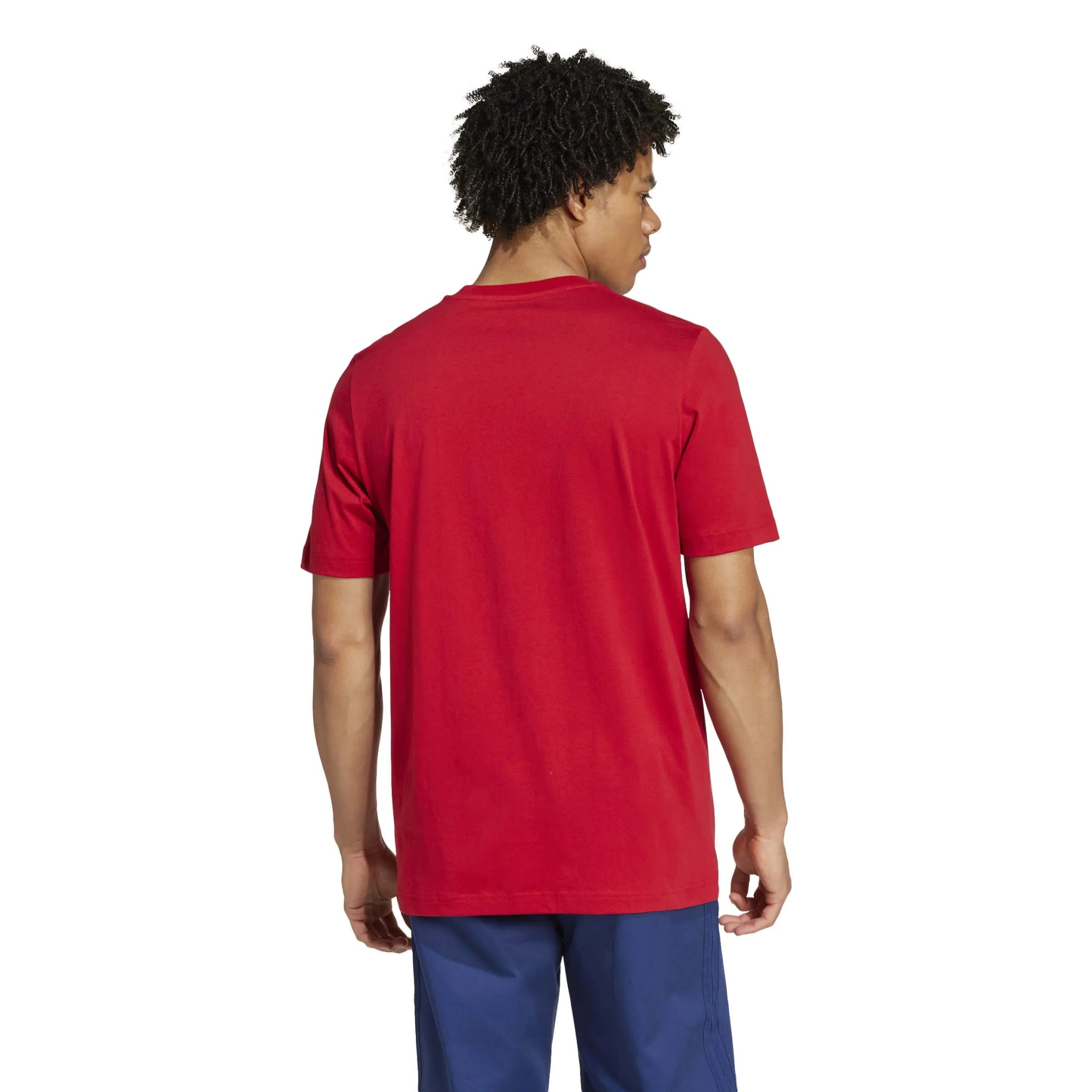adidas 2024-25 Bayern Munich Men's DNA Graphic Tee