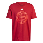 adidas 2024-25 Bayern Munich Men's DNA Graphic Tee