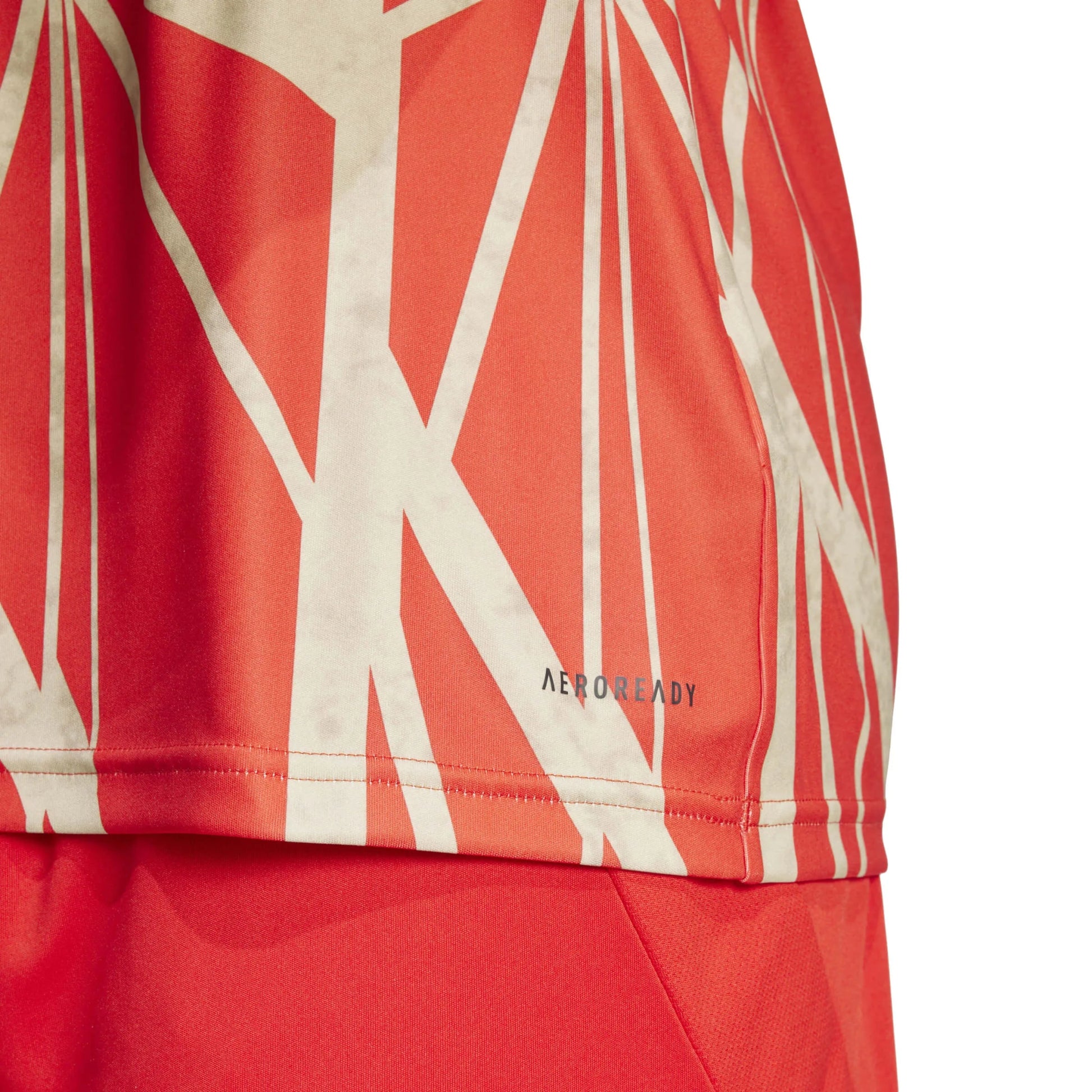 adidas 2024-25 Bayern Munich Men's Pre-Match Jerseys (Detail 2)