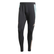 adidas 2024-25 Bayern Munich Men's Training Pants