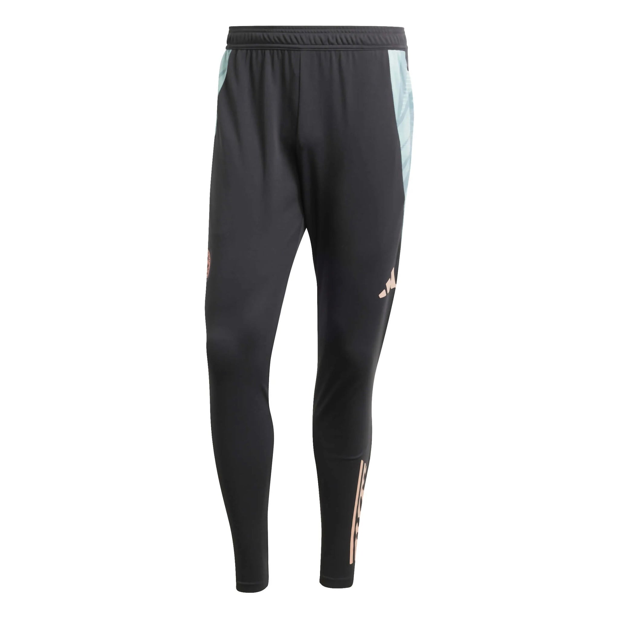 adidas 2024-25 Bayern Munich Men's Training Pants