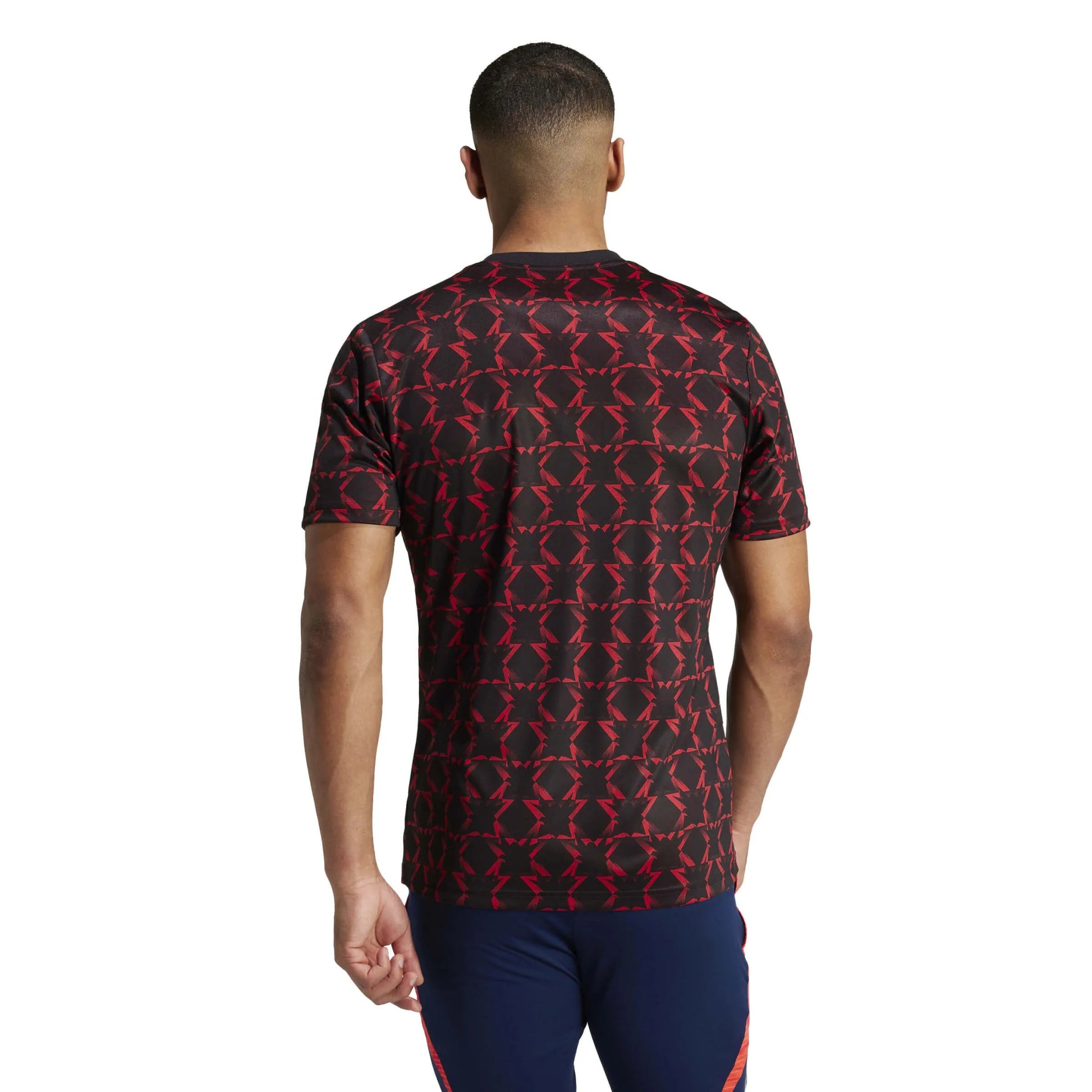 adidas 2024-25 Manchester United Men's Pre-Match Jersey (Model - Back)