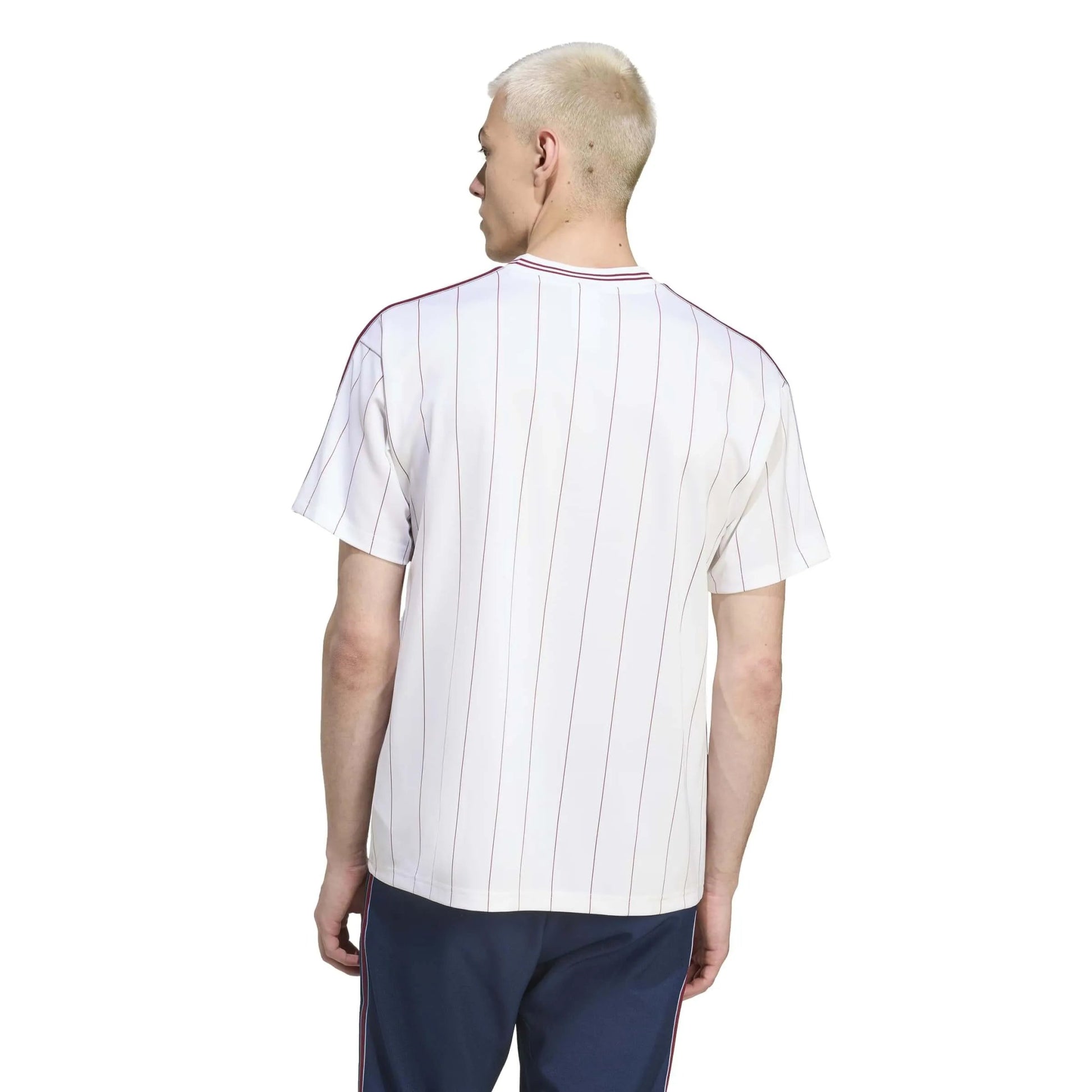 adidas 2025-25 Aston Villa Men's Icon Soccer Jersey (Model - Back)