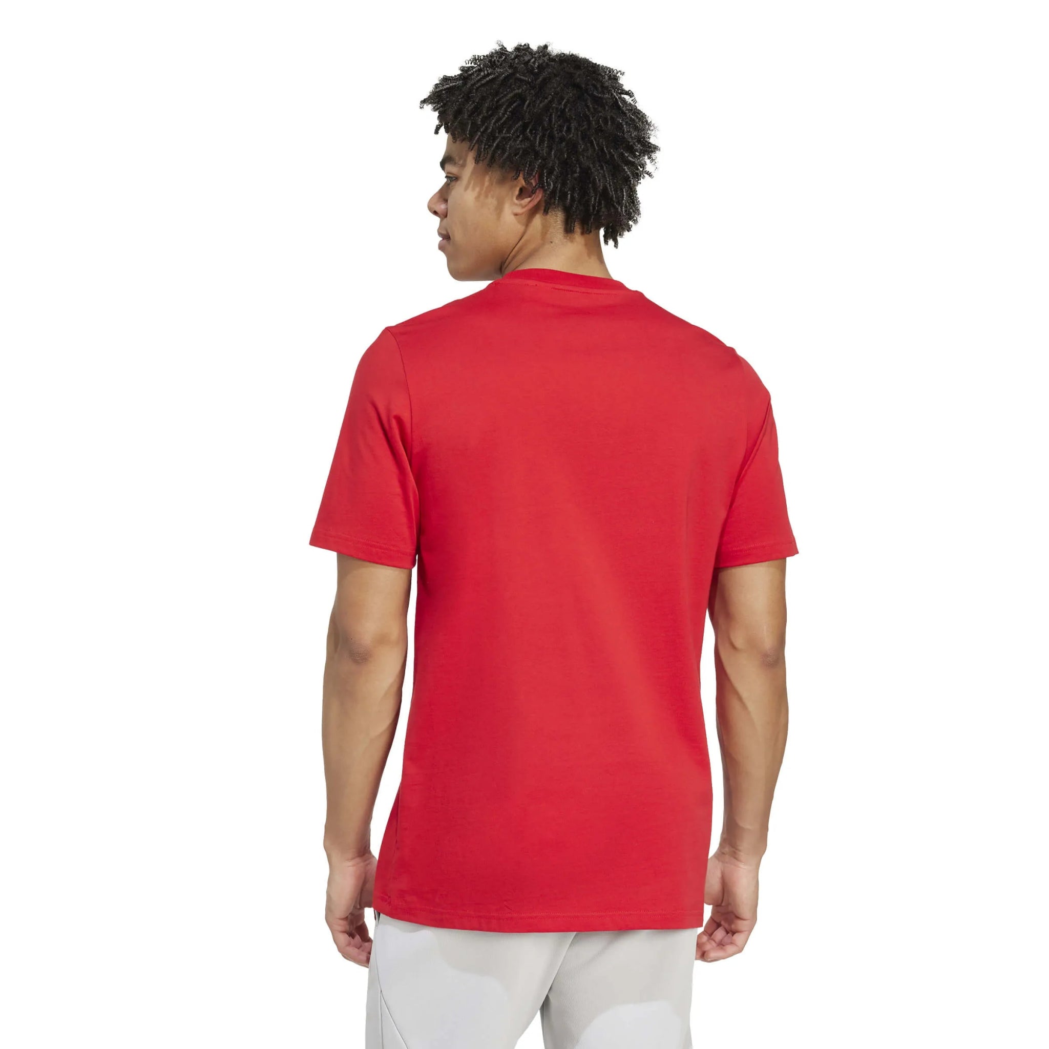 adidas 2025-26 Arsenal Men's Seasonal Graphic Tee (Model - Back)