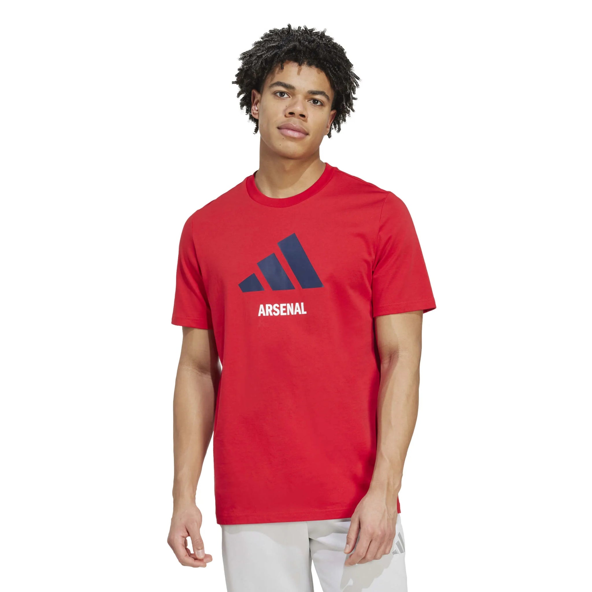 adidas 2025-26 Arsenal Men's Seasonal Graphic Tee (Model - Front)