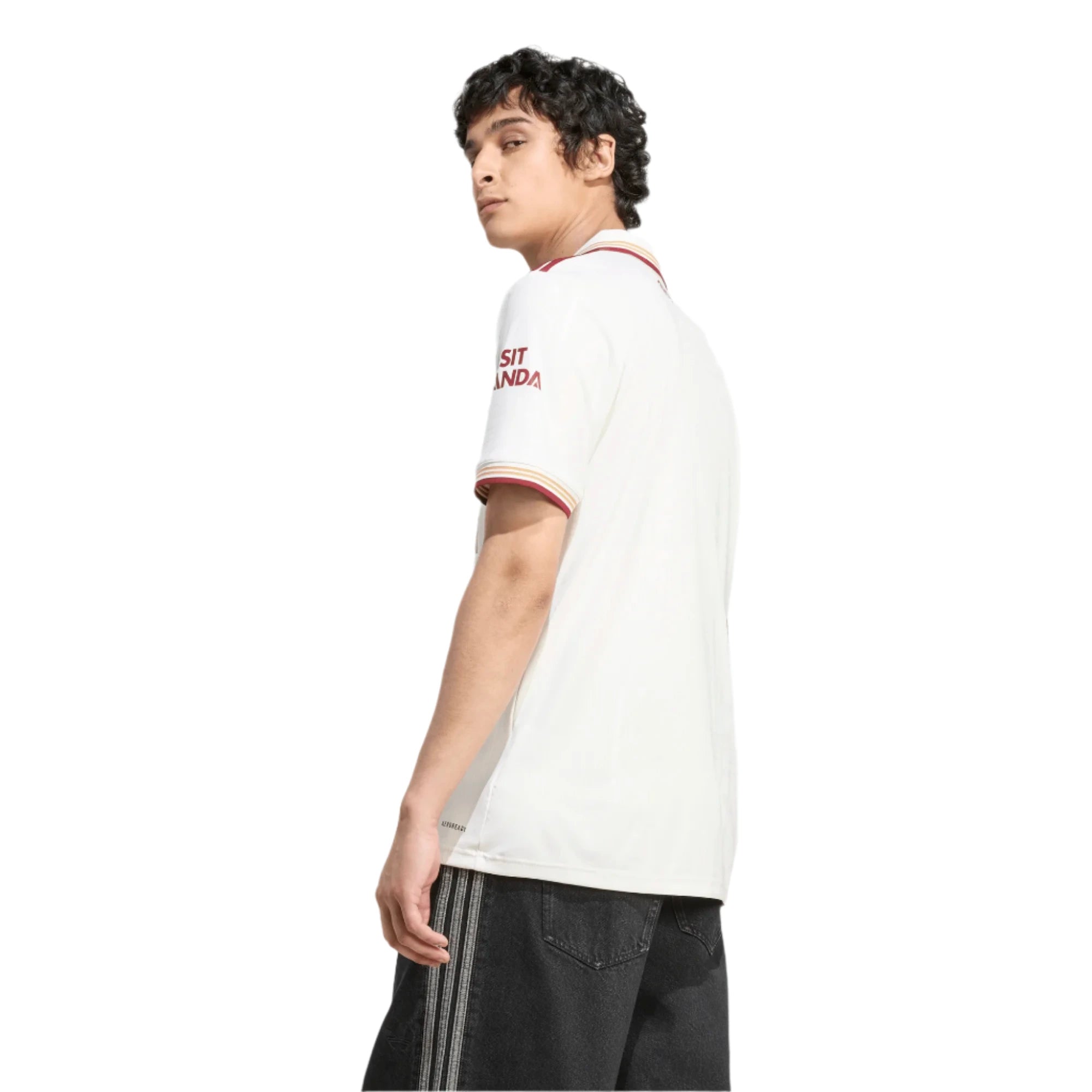 adidas 2025-26 Arsenal Men's Stadium Third Soccer Jersey (Model - Back)