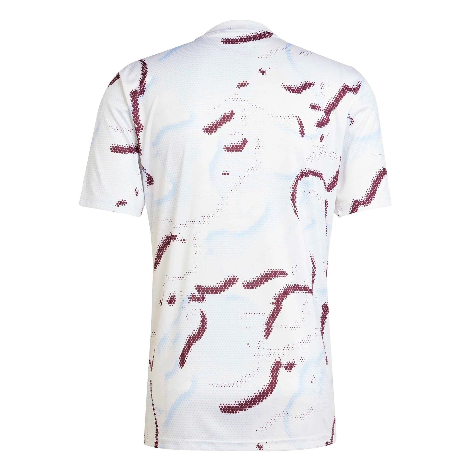 adidas 2025-26 Aston Villa Men's Pre-Match Soccer Jersey (Back)