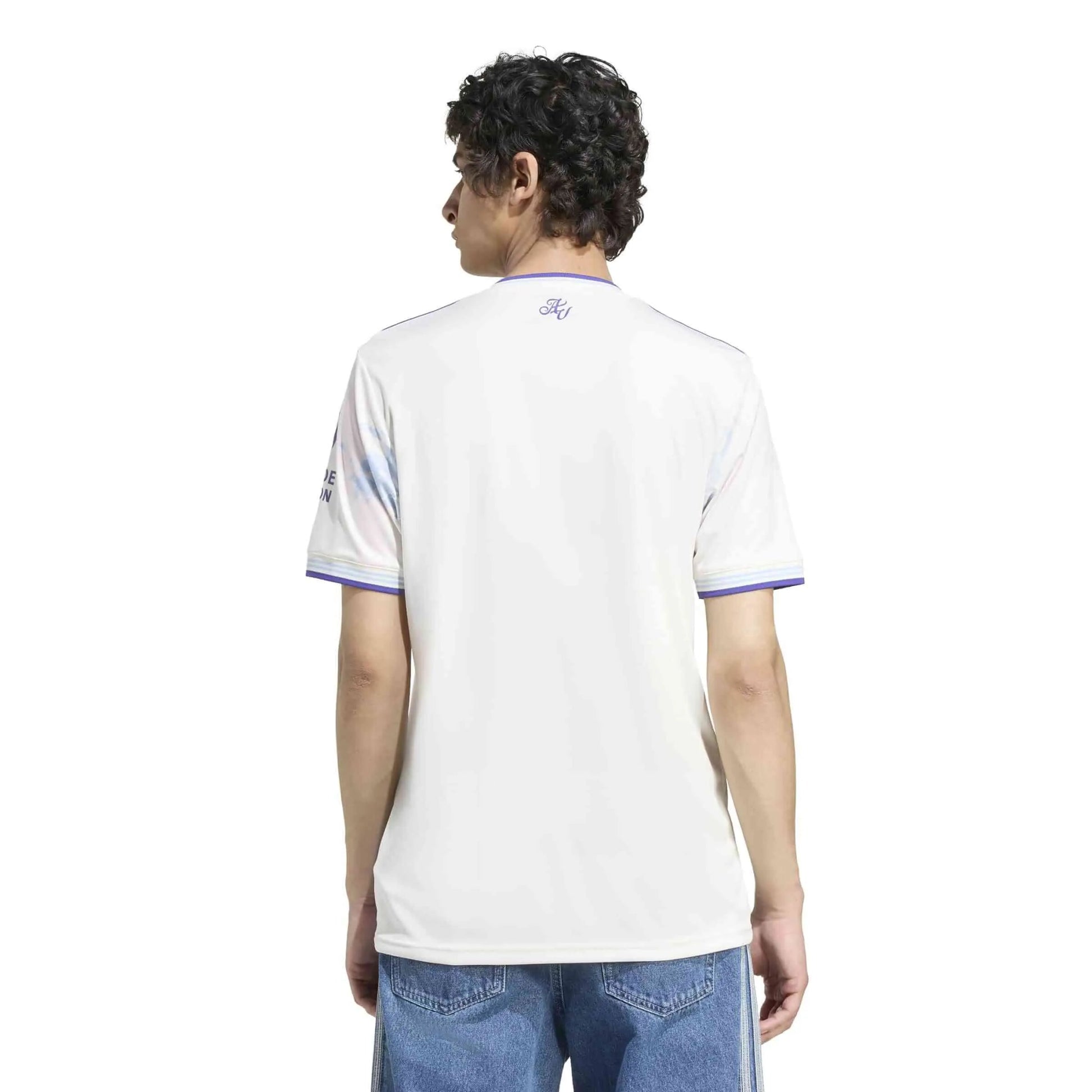 adidas 2025-26 Aston Villa Men's Stadium Third Soccer Jersey (Model - Back)