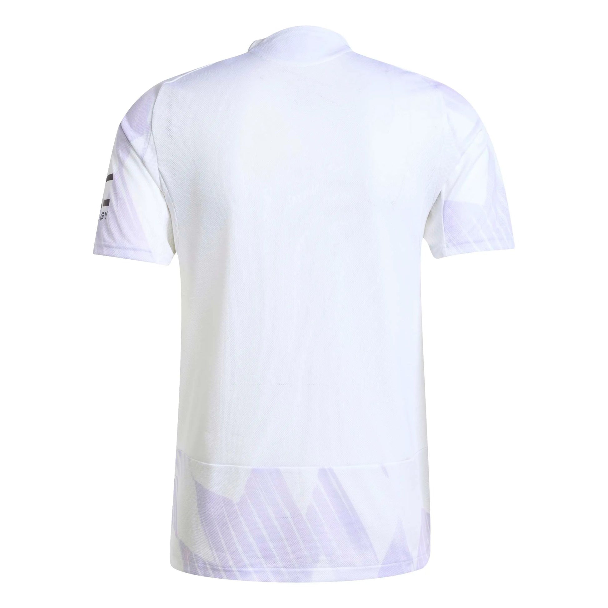 adidas 2025-26 Manchester United Men's Authentic Away Soccer Jersey (Back)