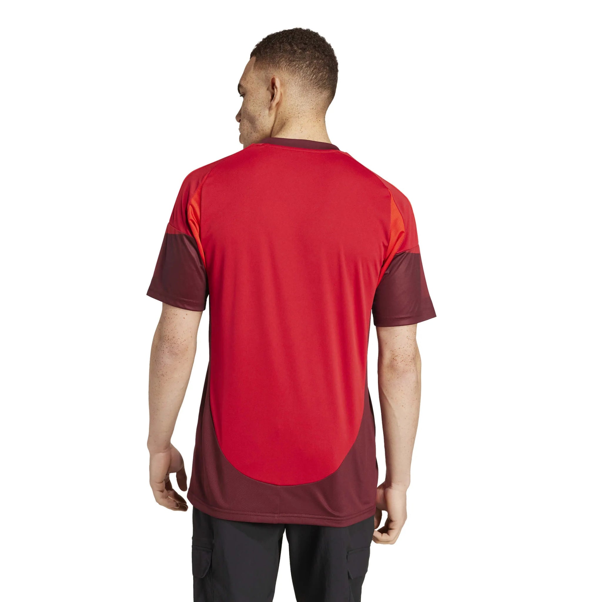 adidas 2025-26 Toronto FC Men's Stadium Home Soccer Jersey (Model - Back)