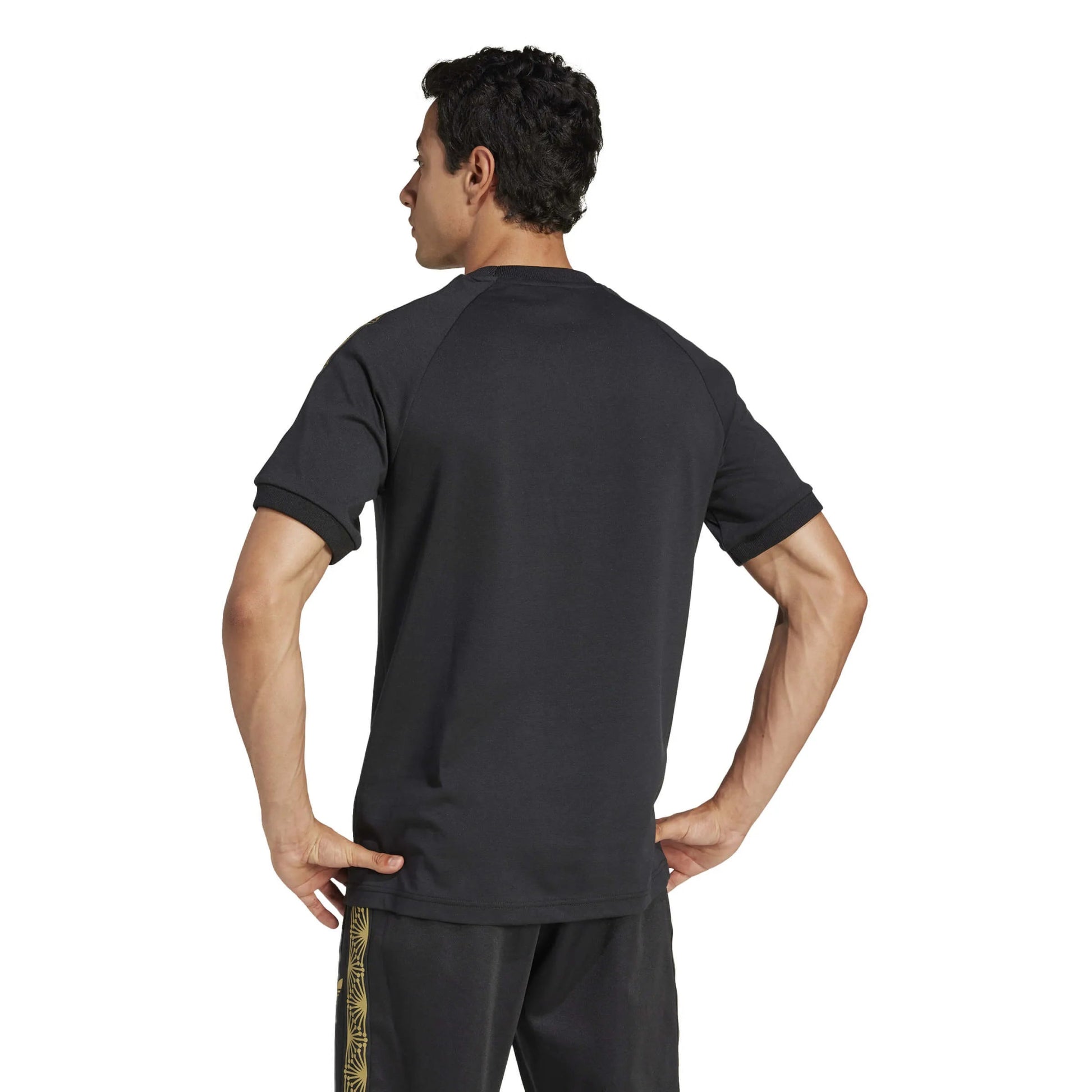 adidas 2025 Mexico Men's De Oro Tee
